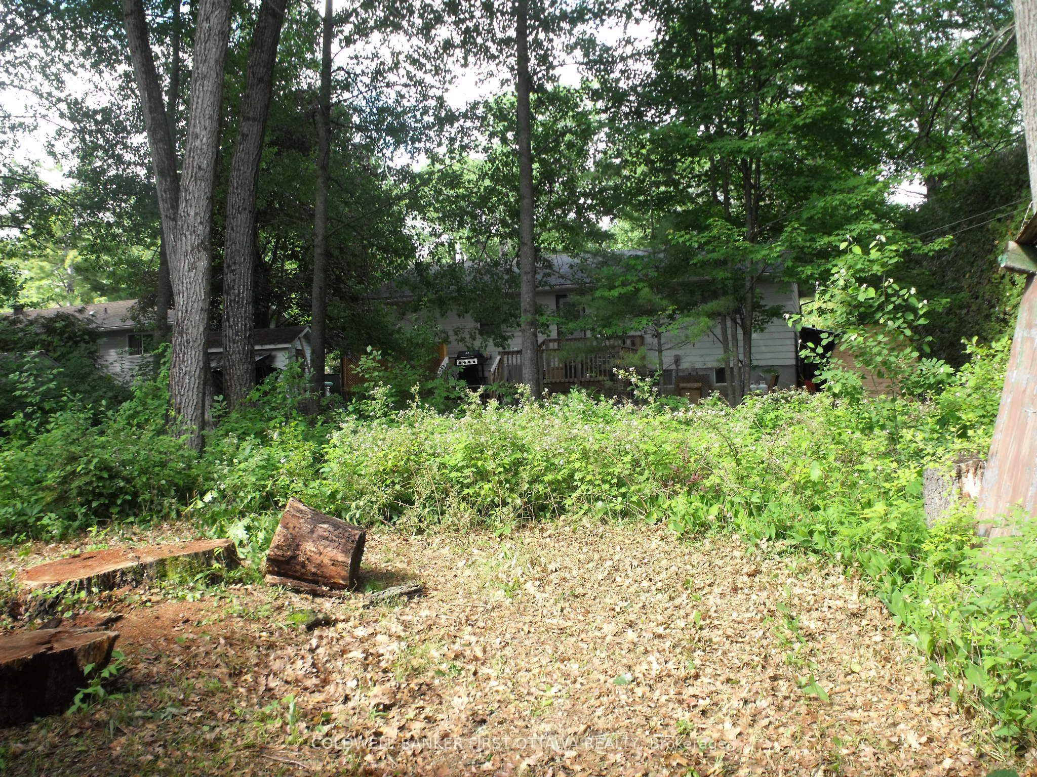 Listing 111575 Image