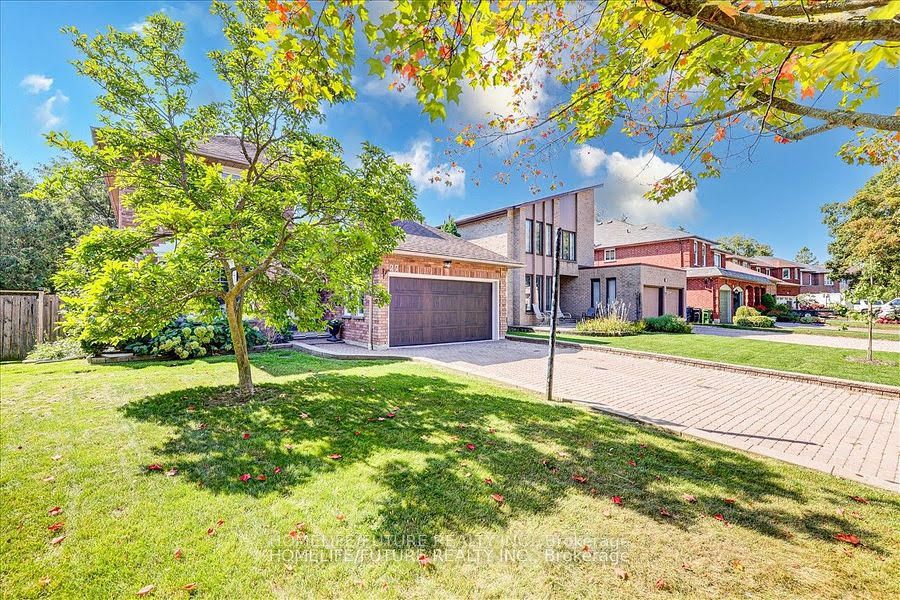 Main Property