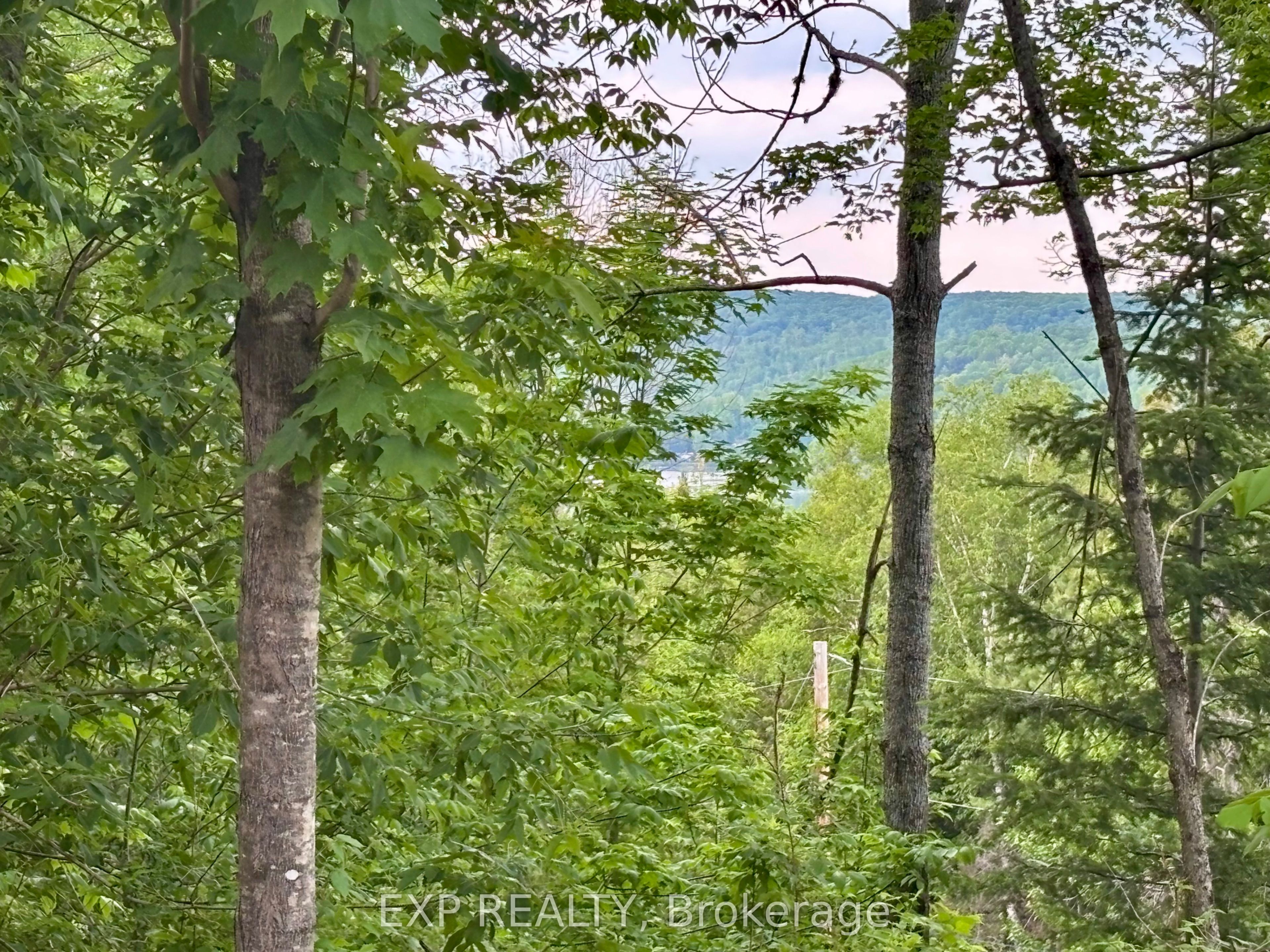 Listing 99019 Image