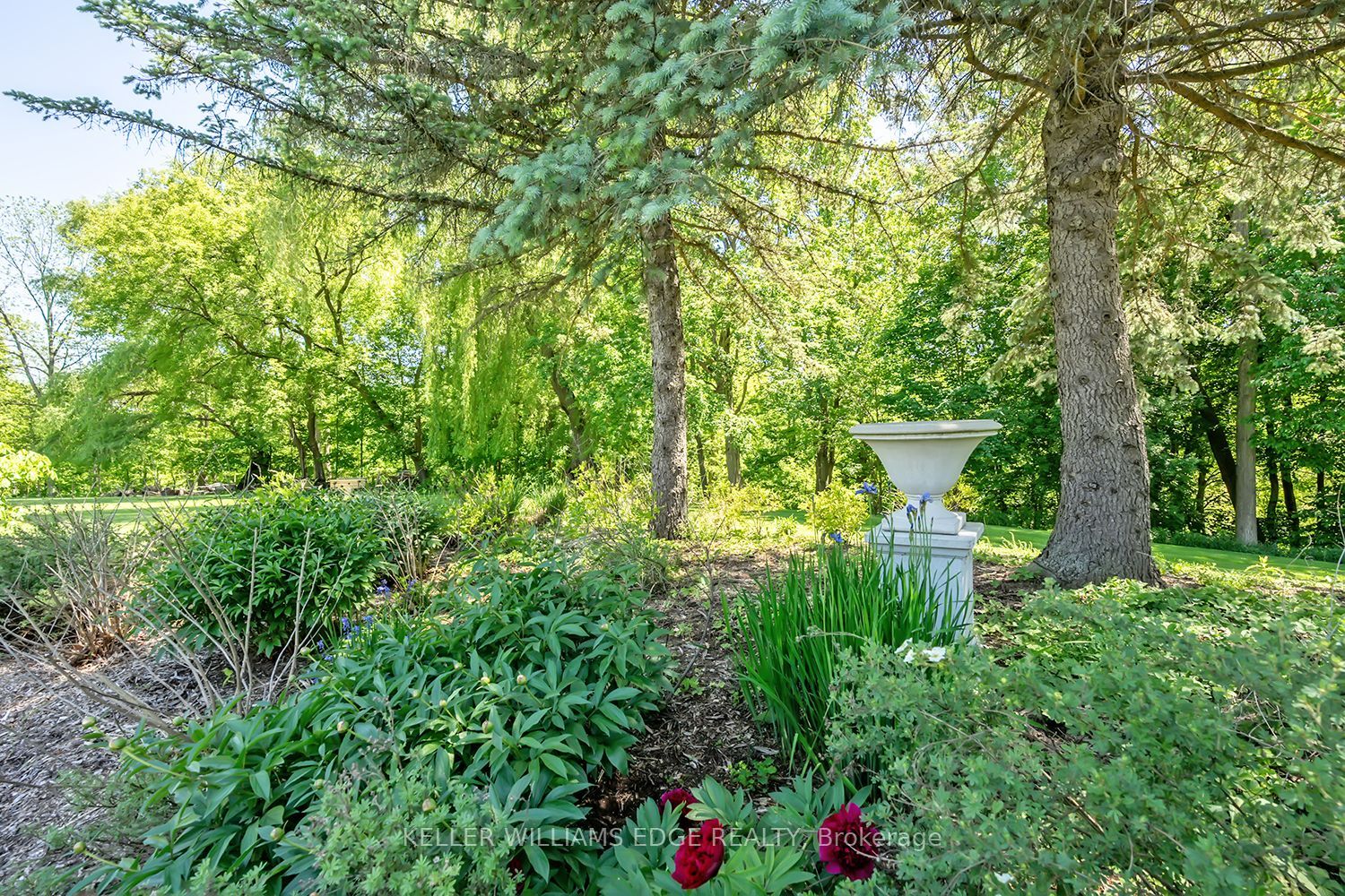 Listing 99342 Image