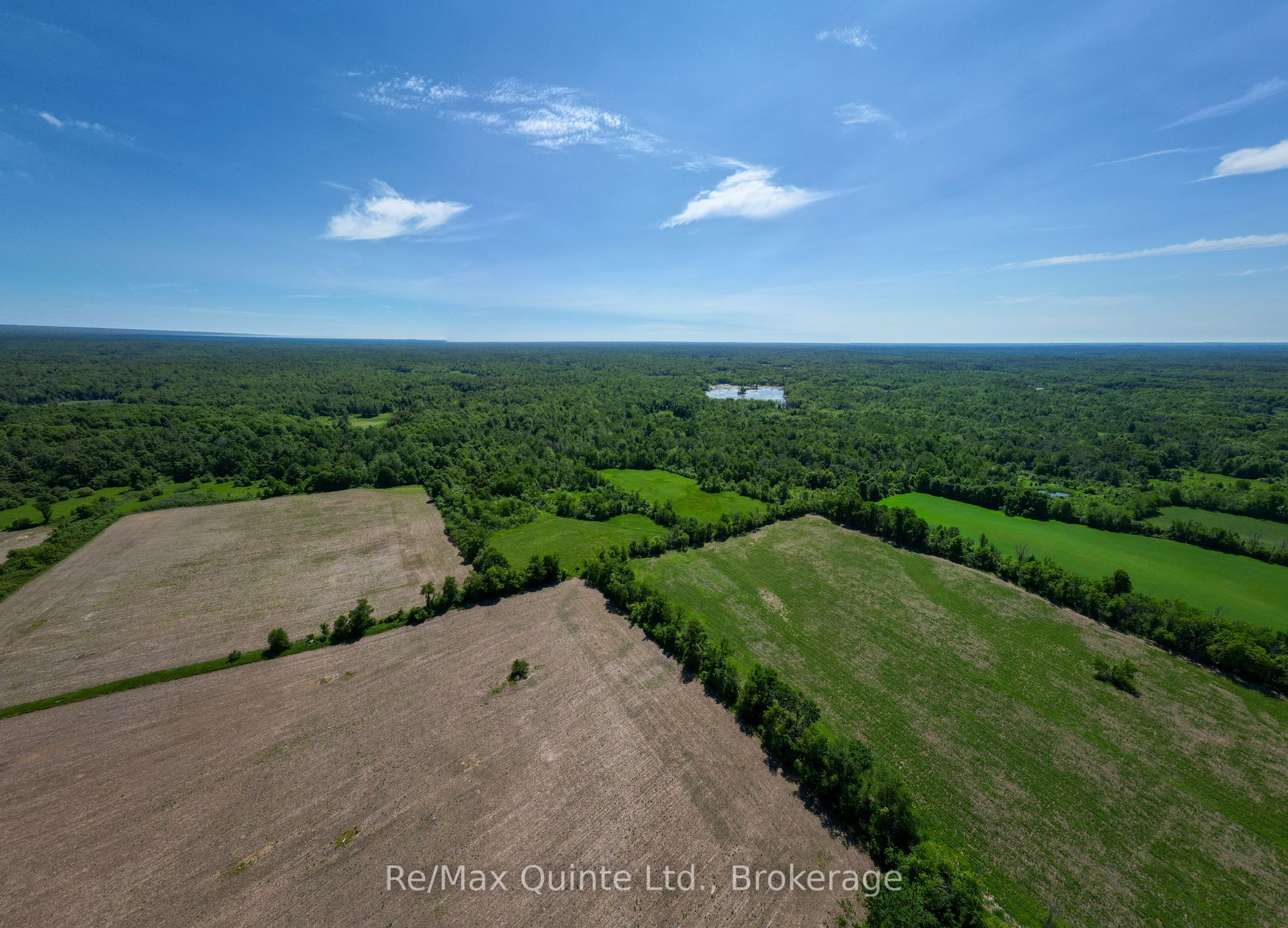 Listing 115103 Image