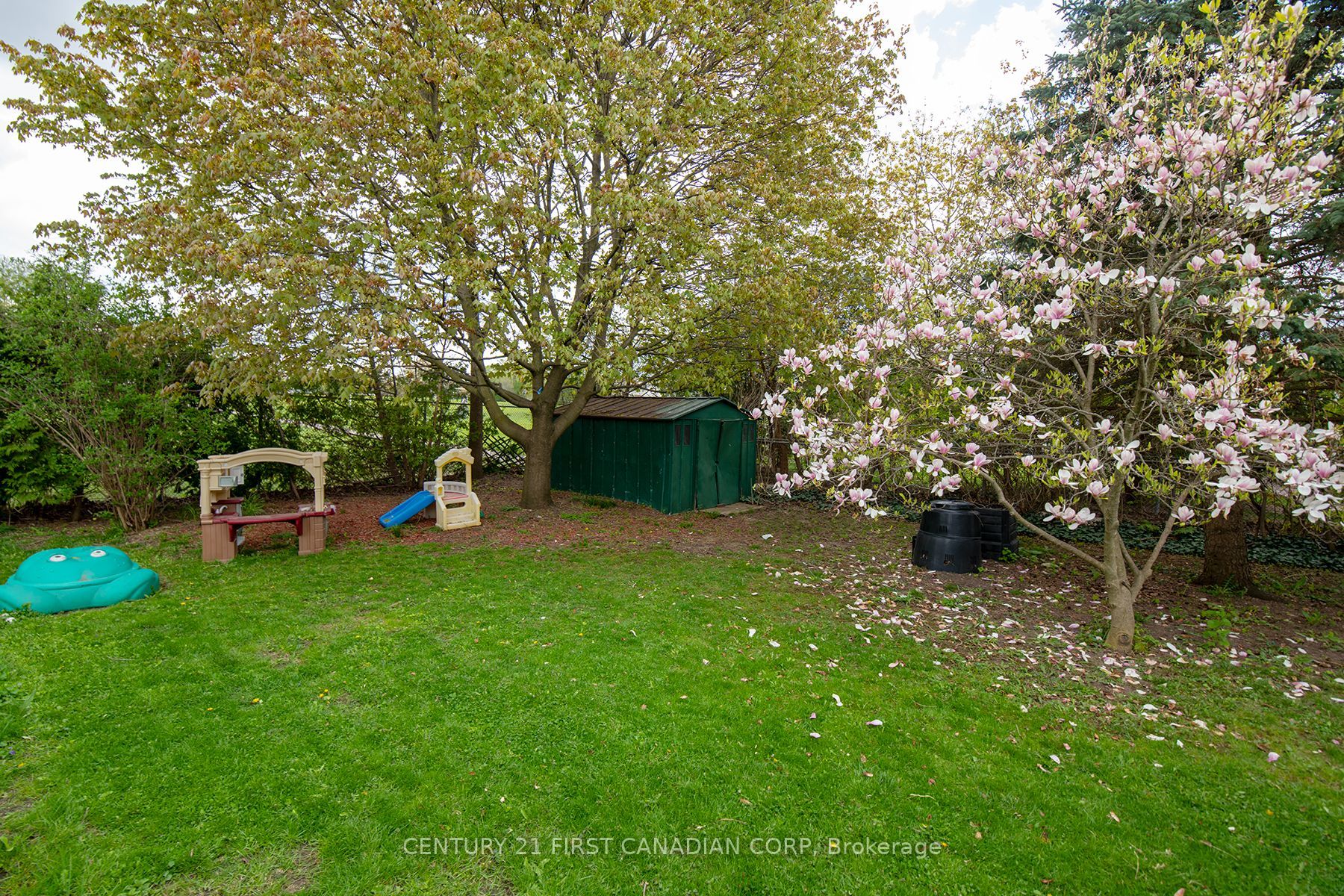 Listing 99741 Image