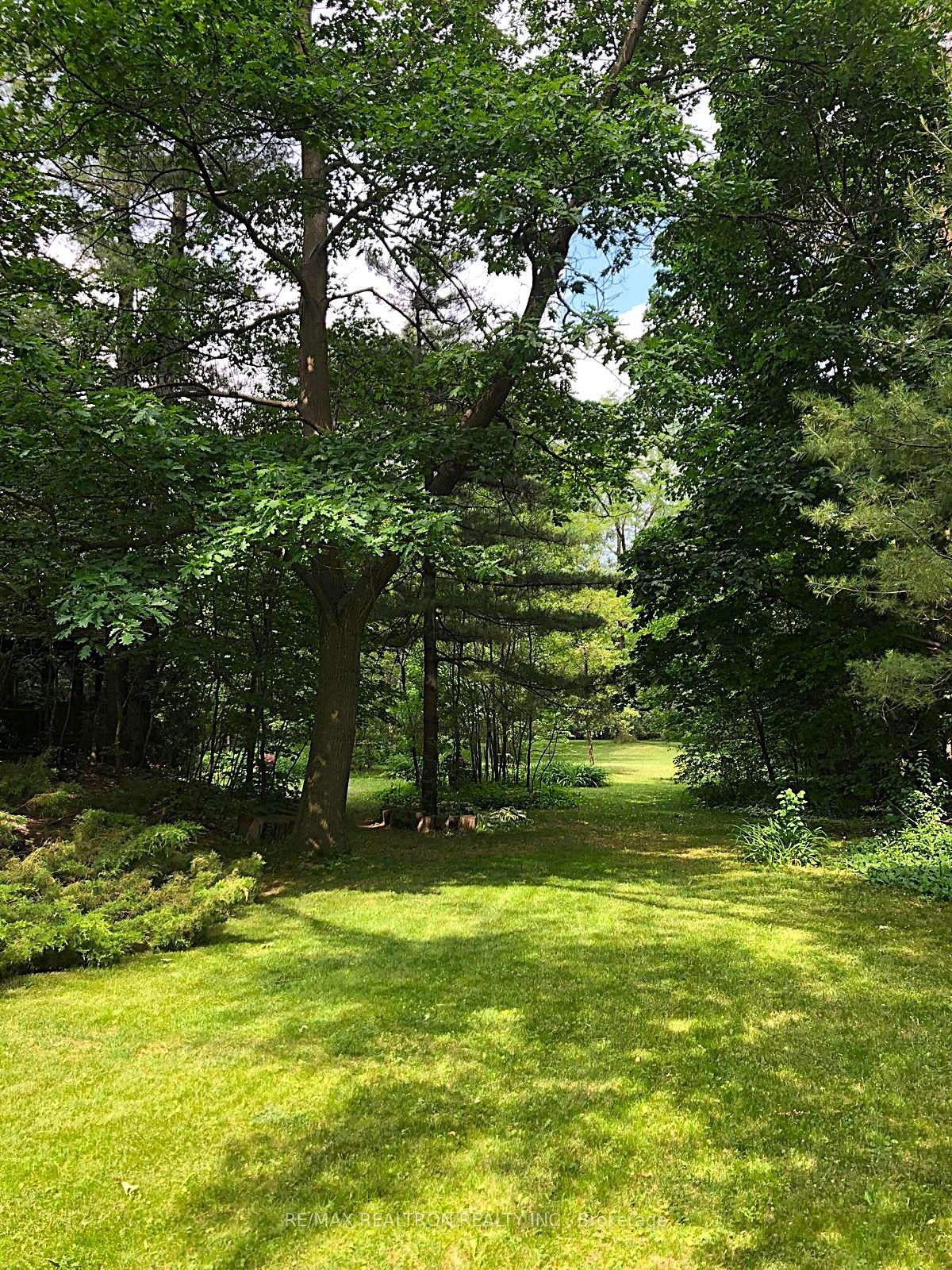 Listing 100285 Image
