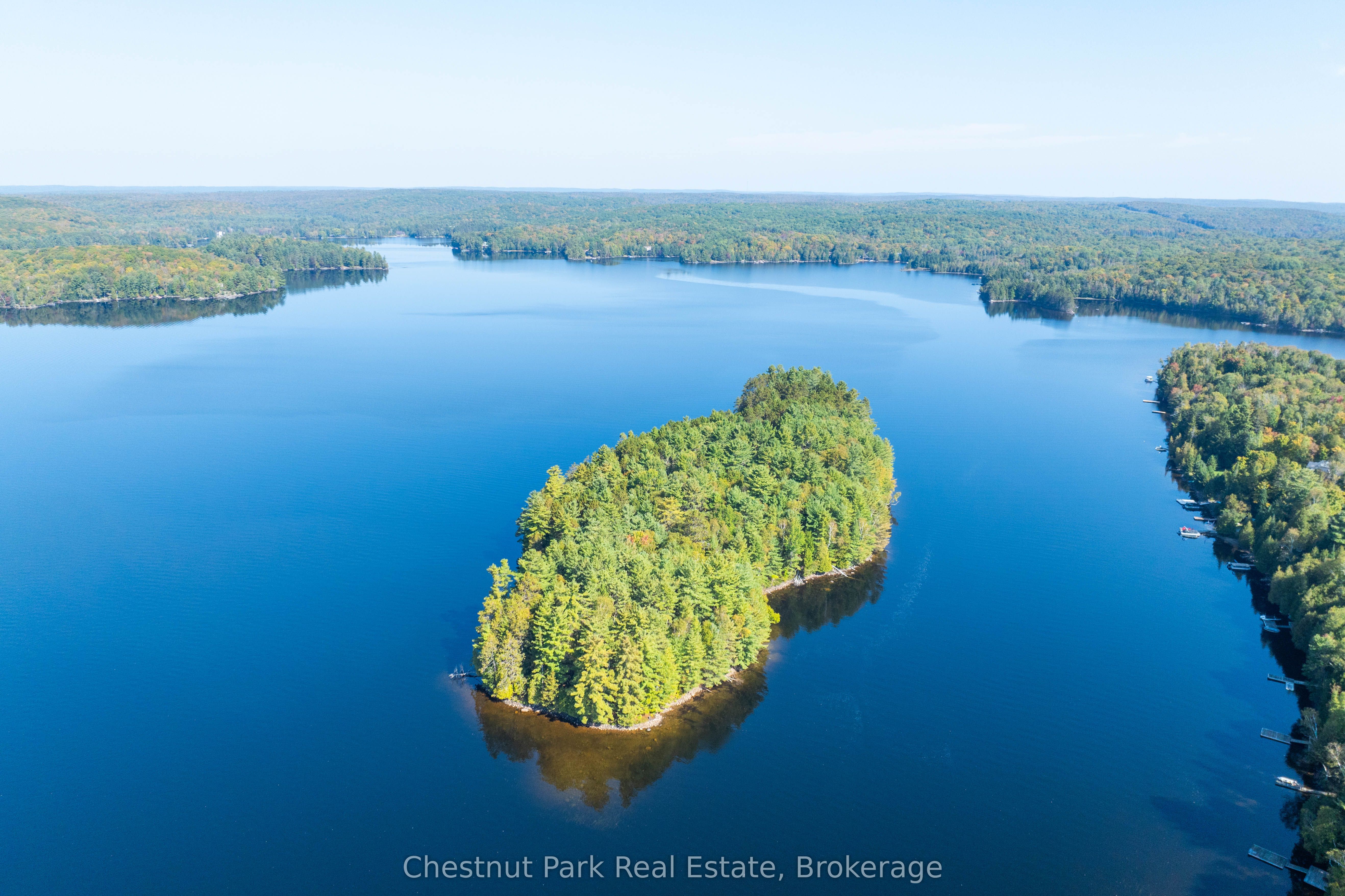 Listing 116974 Image