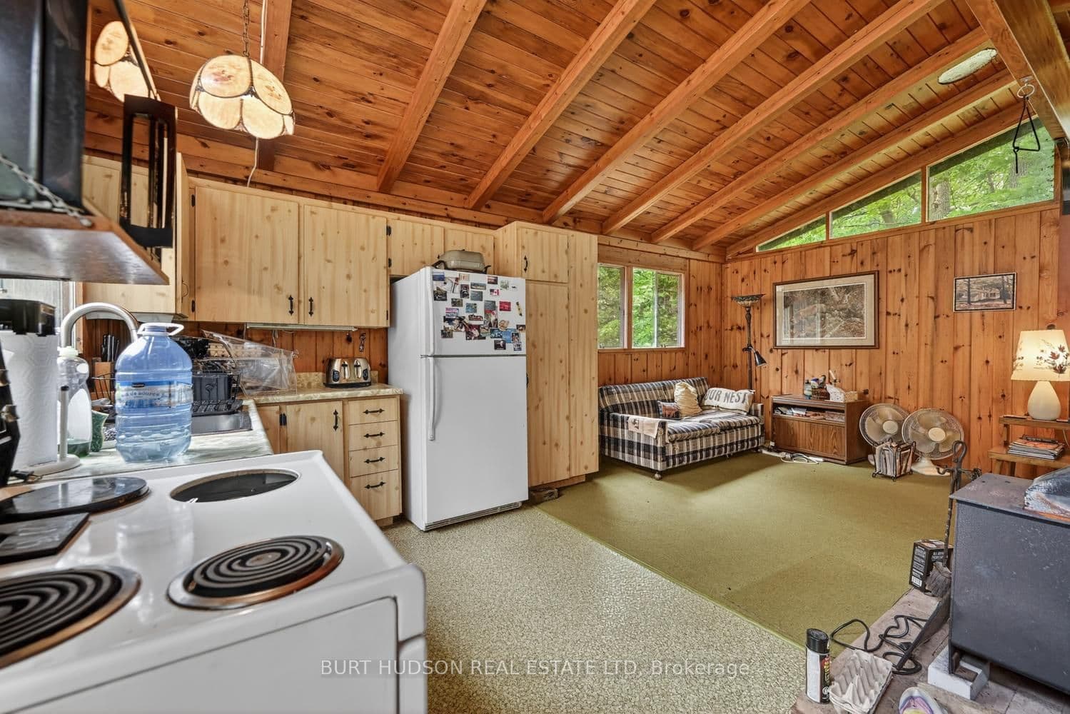Listing 113313 Image