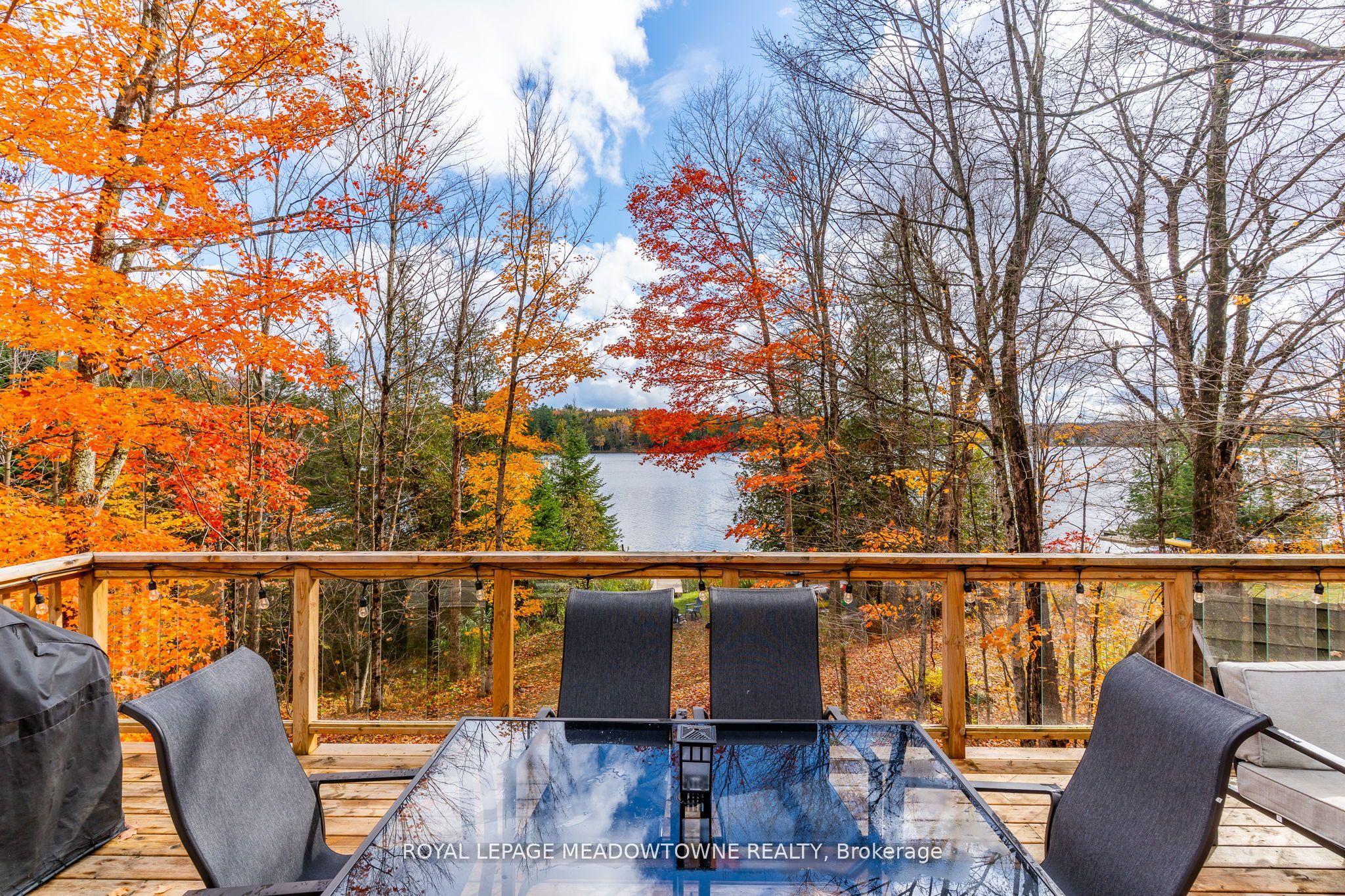 Listing 104999 Image