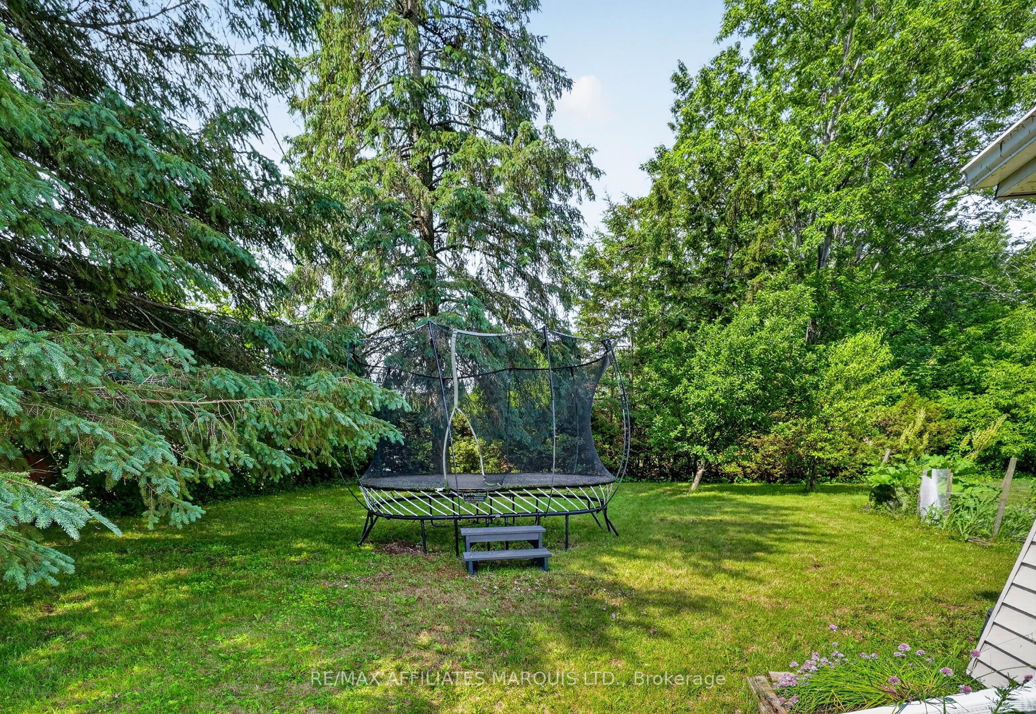 Listing 106599 Image