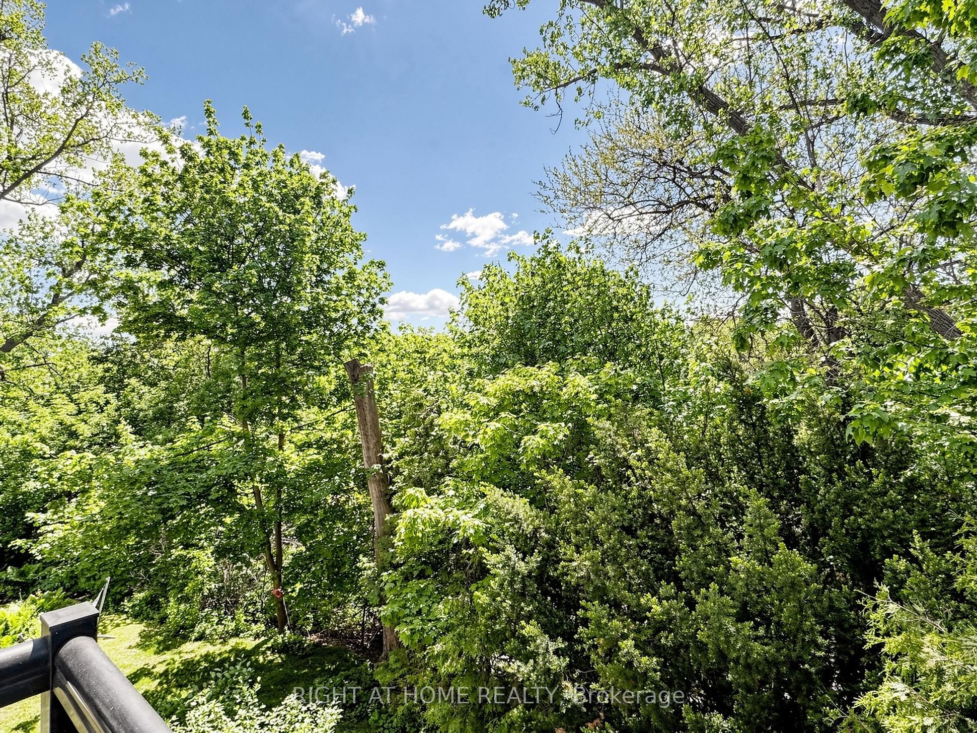 Listing 116088 Image