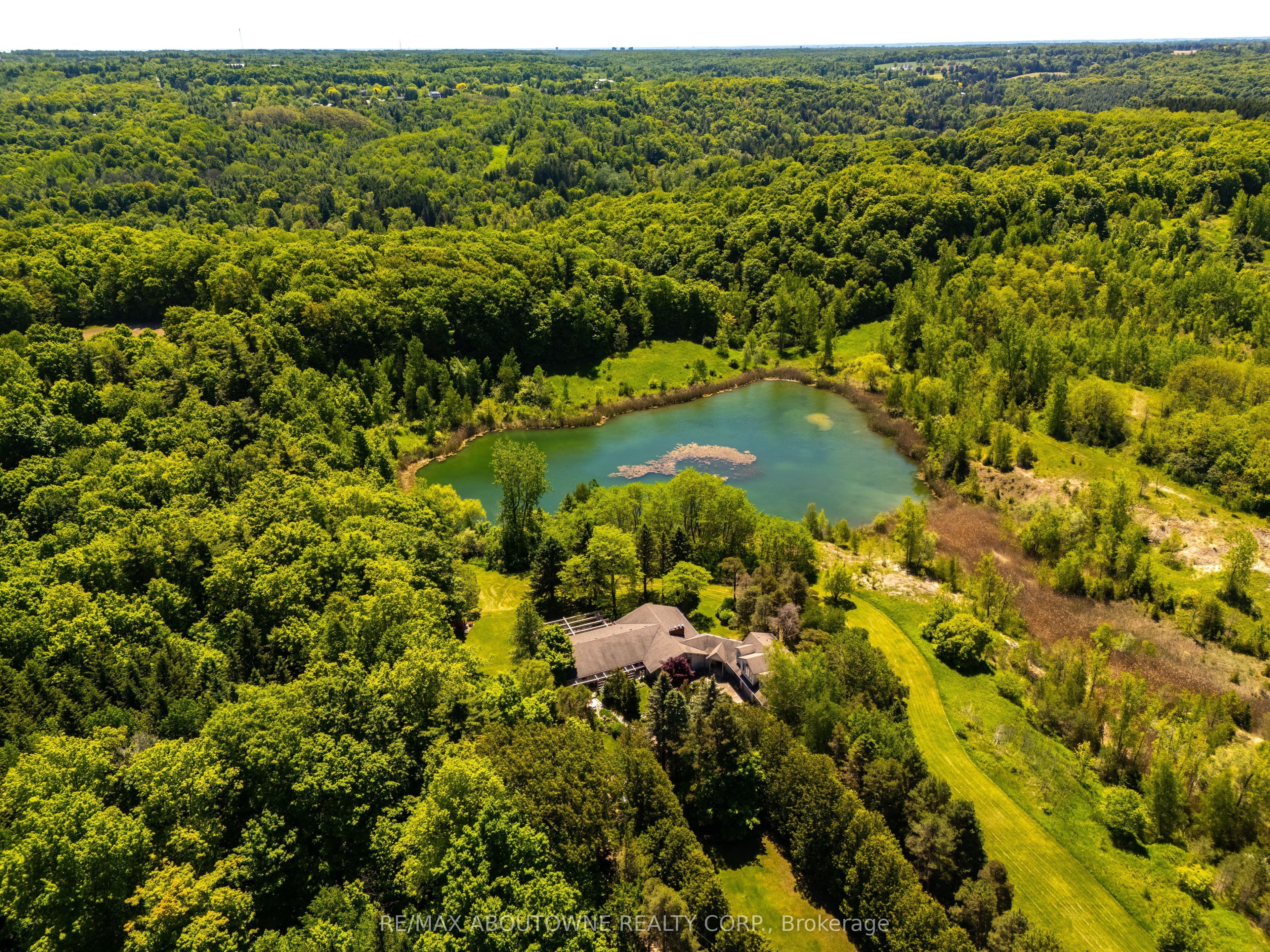 Main Property