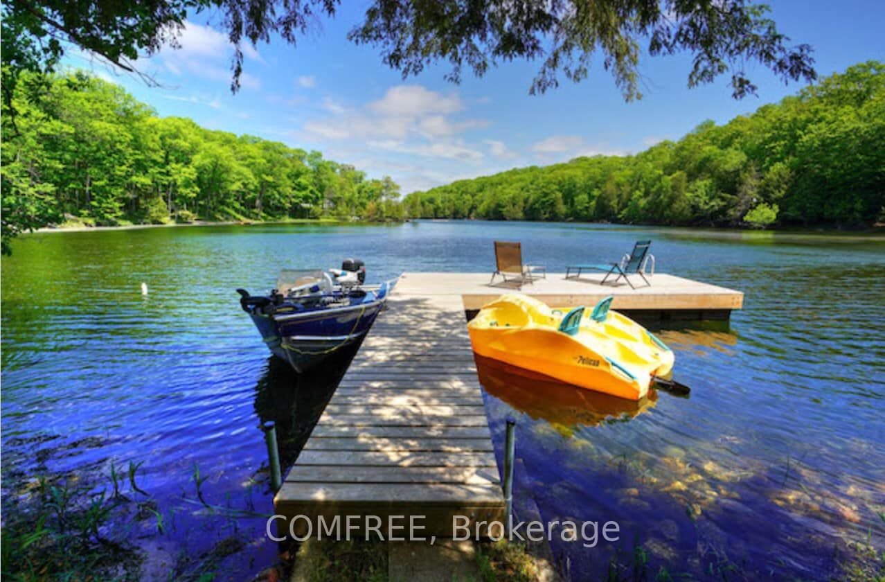 Listing 127545 Image