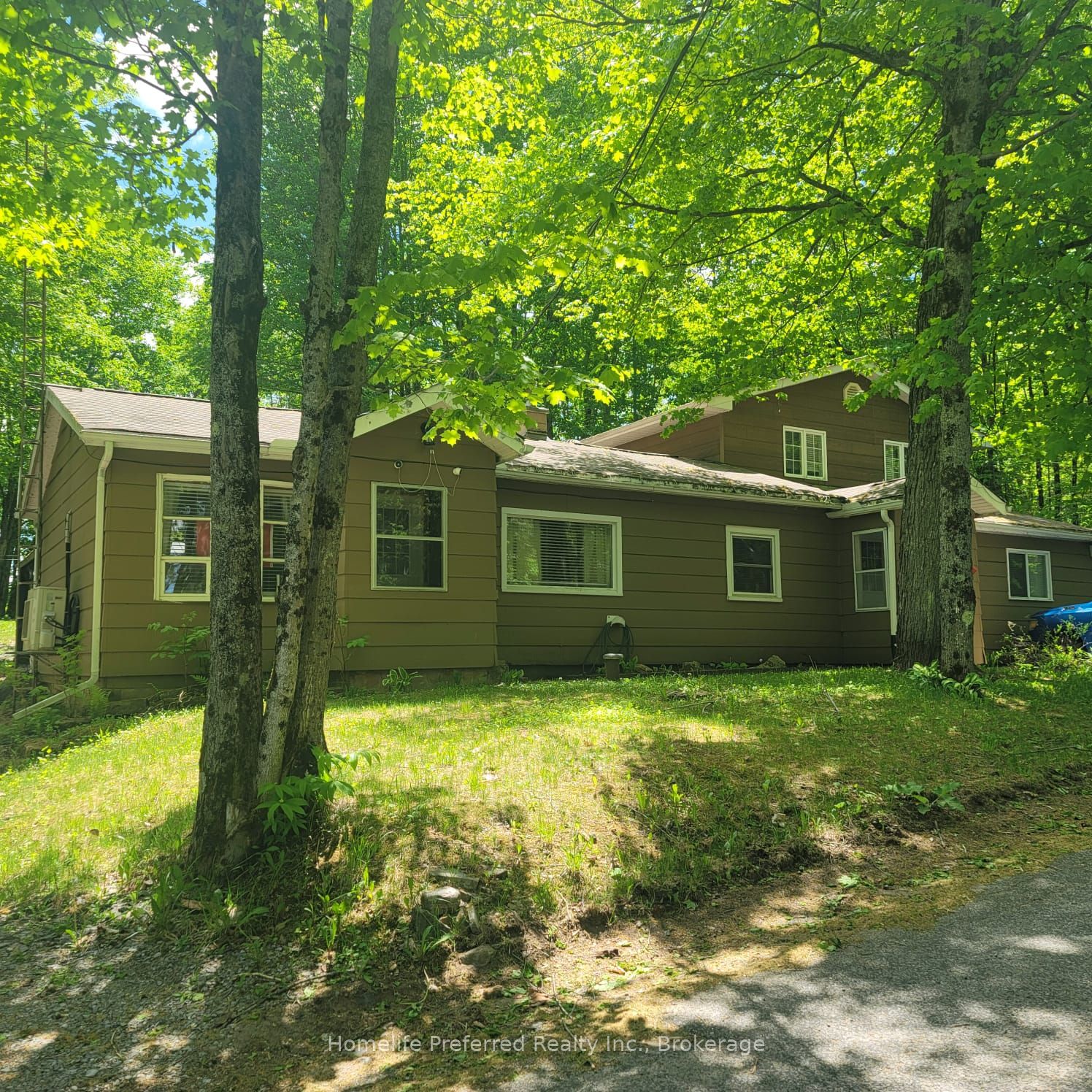 Listing 113415 Image