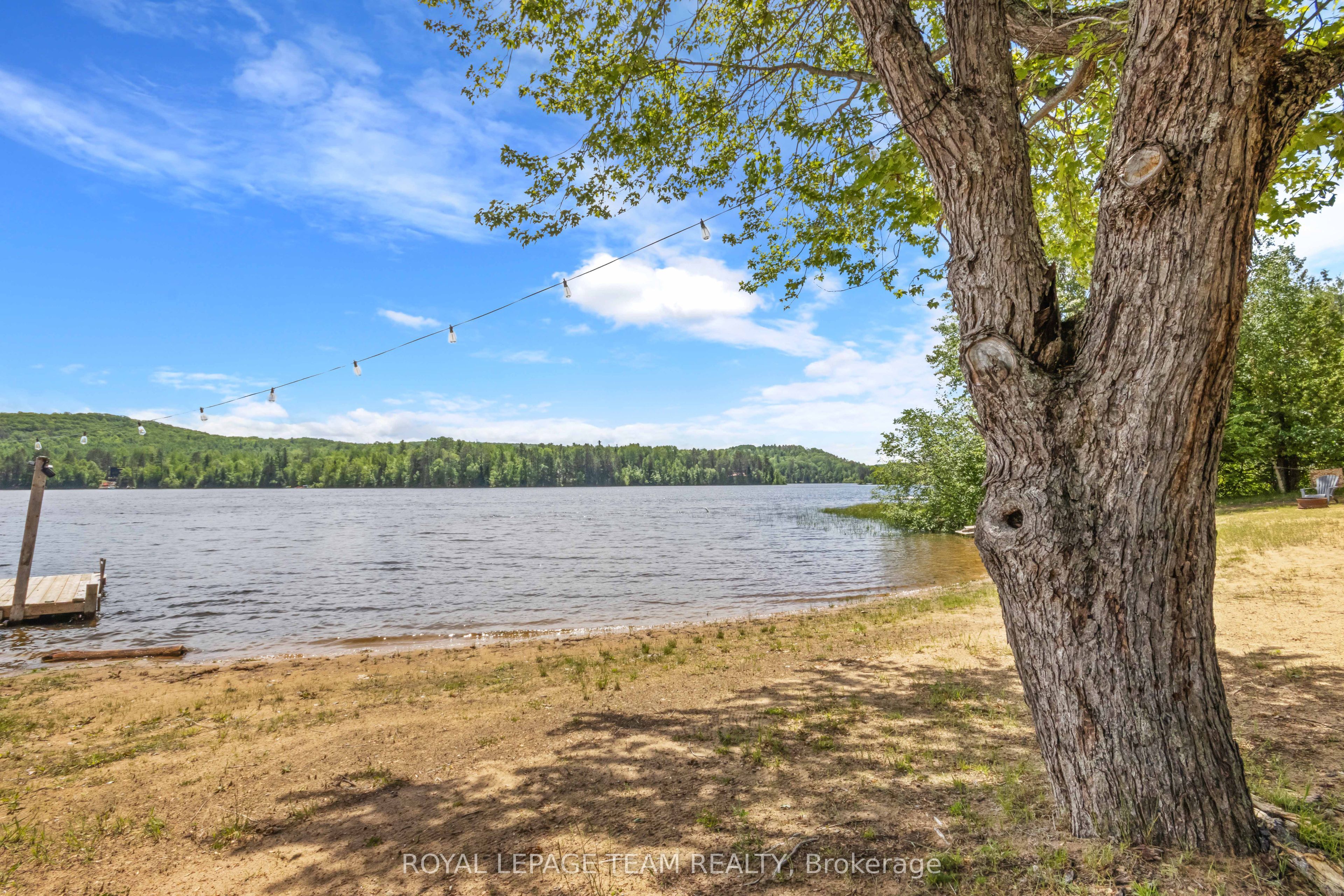 Listing 118775 Image