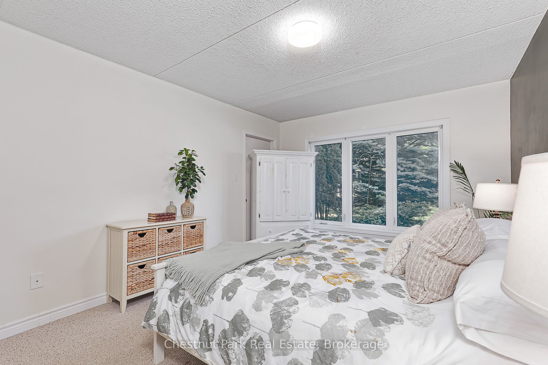 Listing 116174 Image