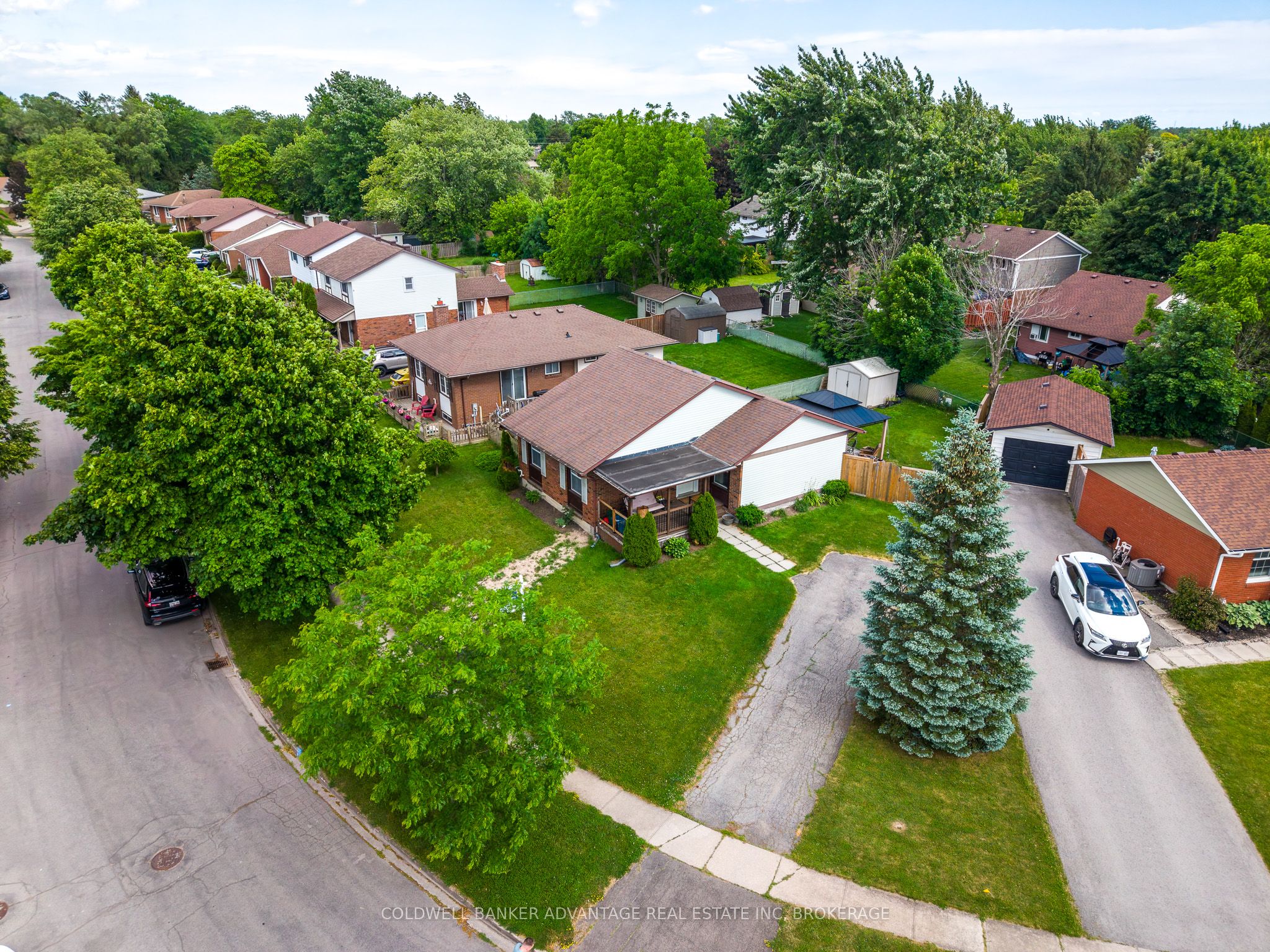 Listing 118891 Image