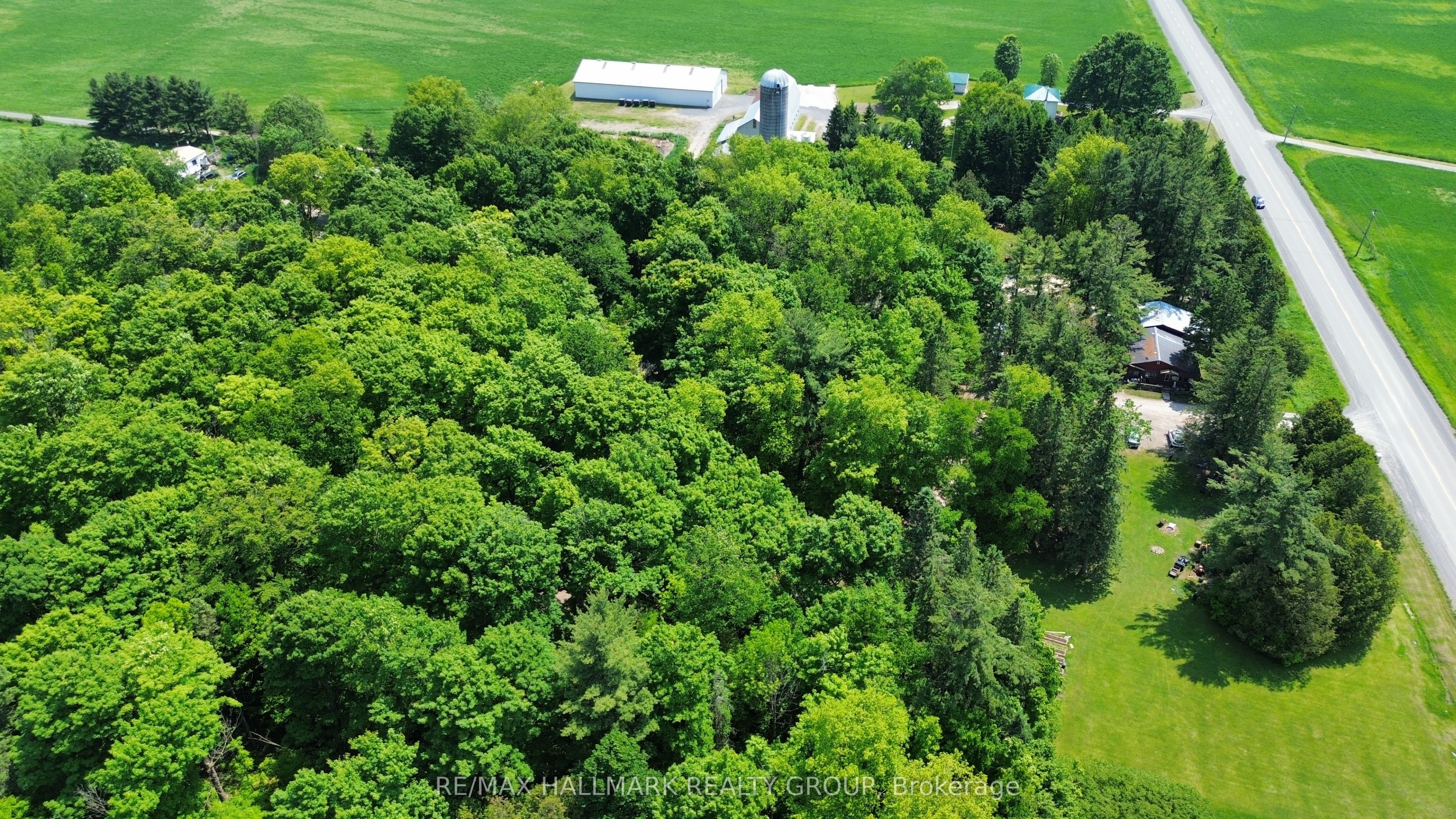 Listing 114126 Image