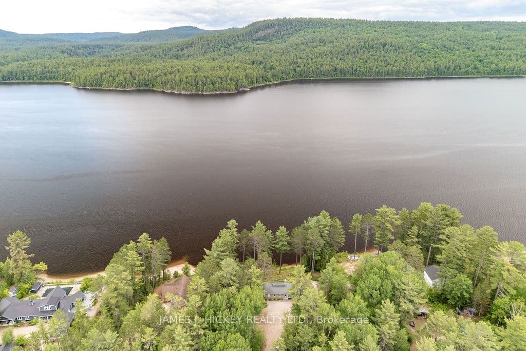 Listing 310736 Image