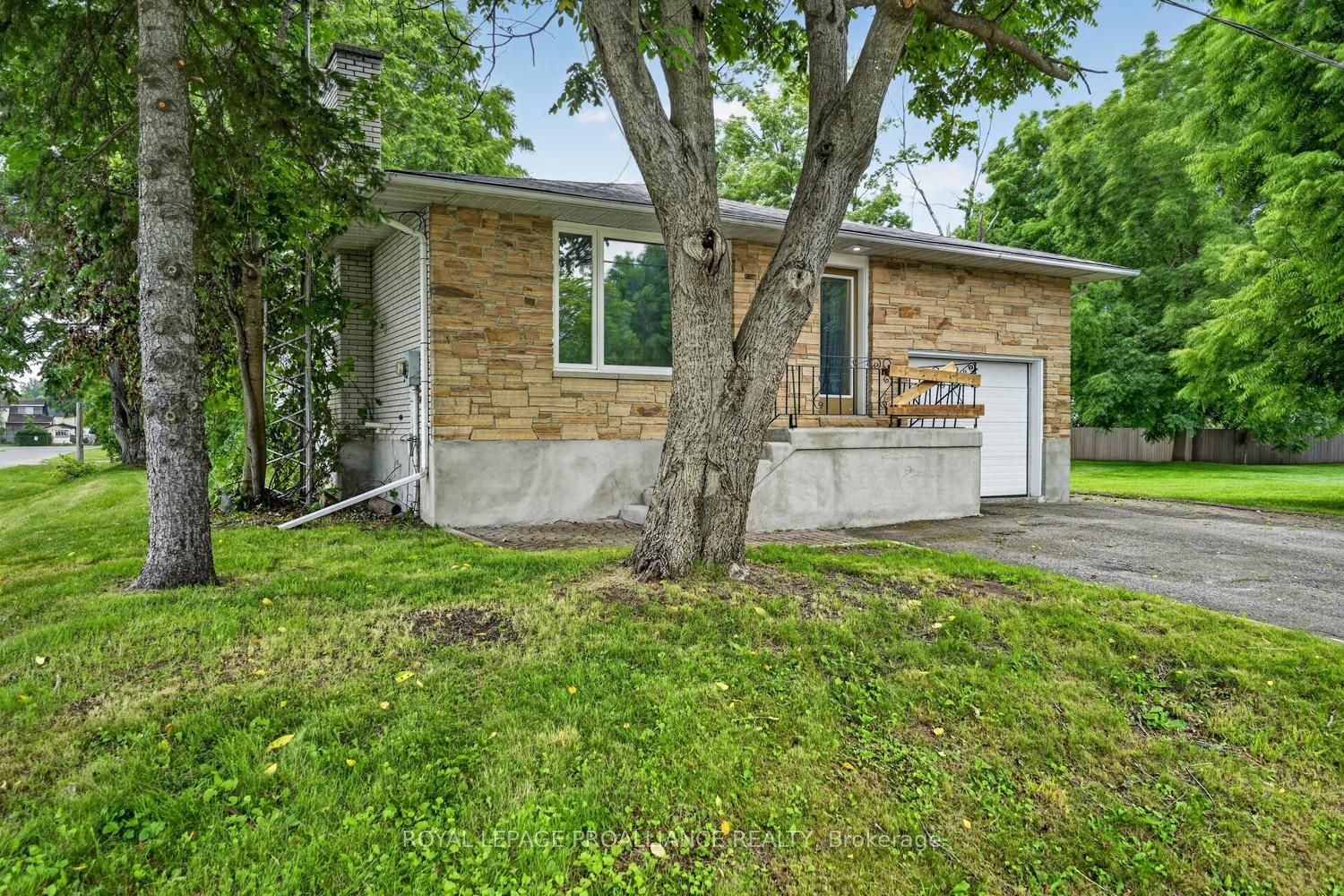 Main Property