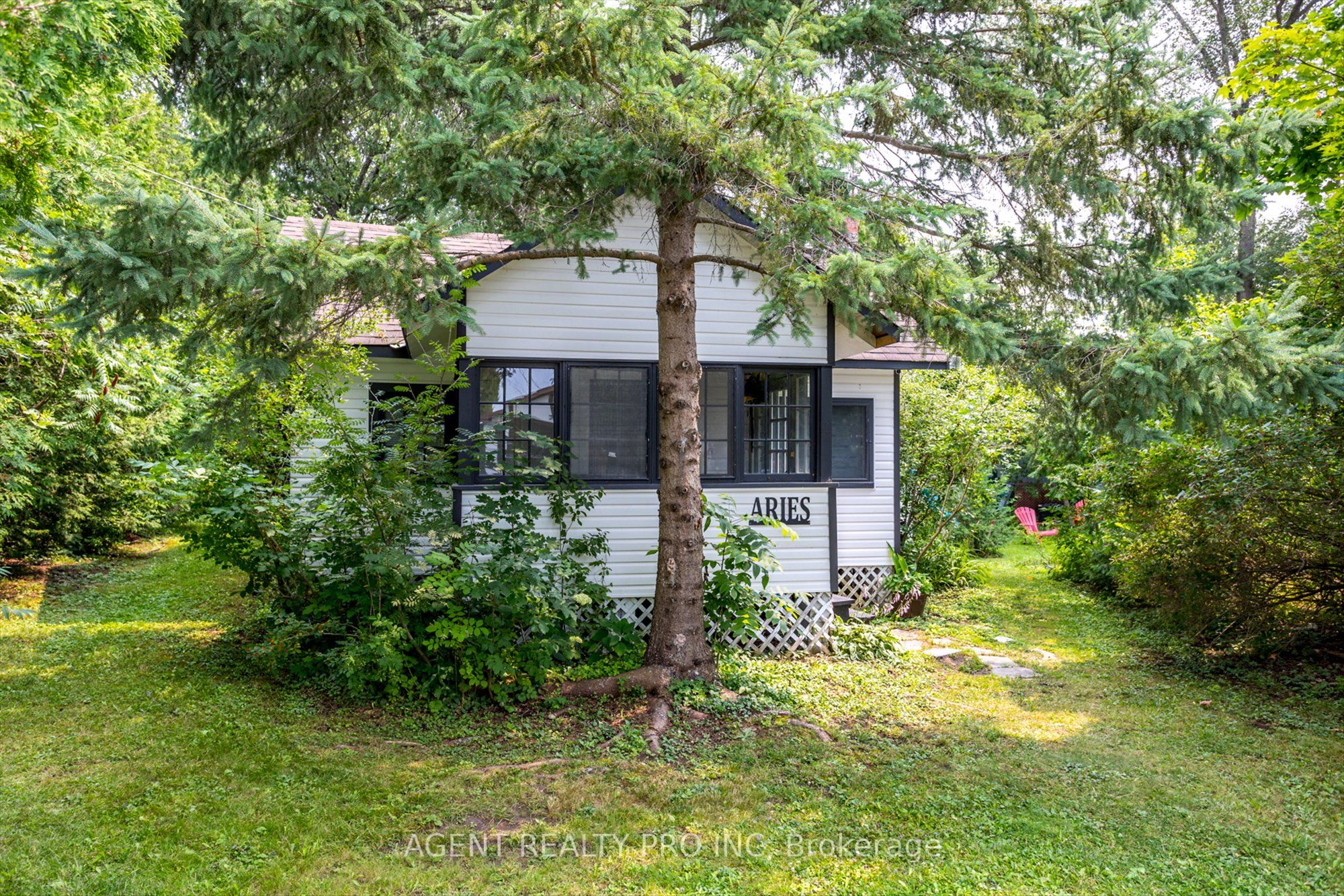 Main Property
