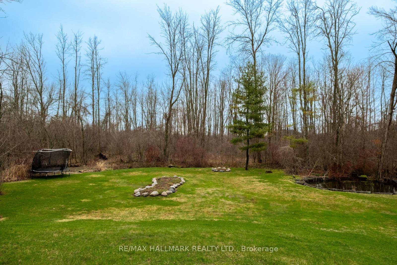 Listing 129746 Image