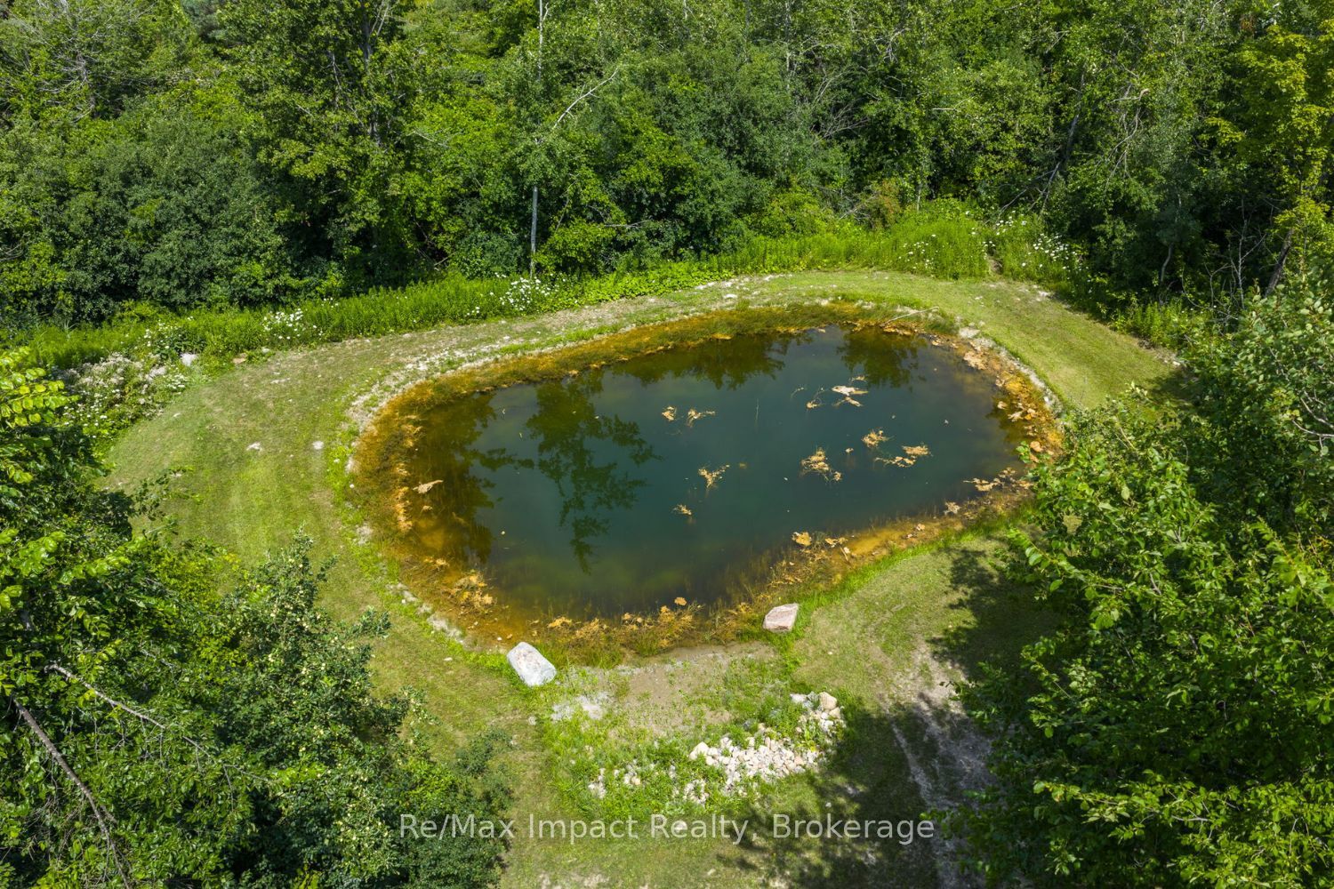 Listing 118641 Image