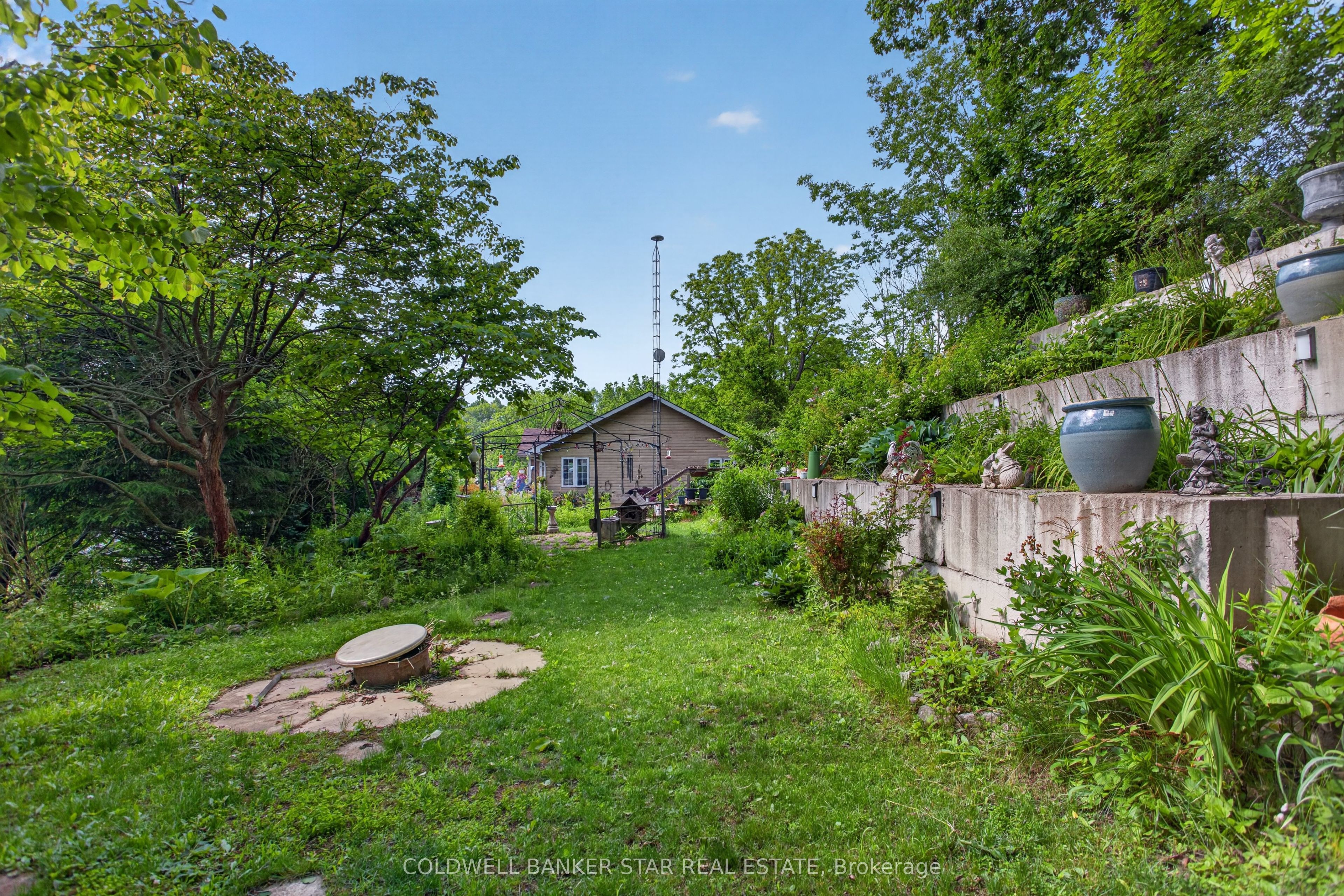 Listing 129165 Image