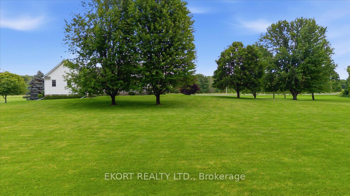Listing 153705 Image