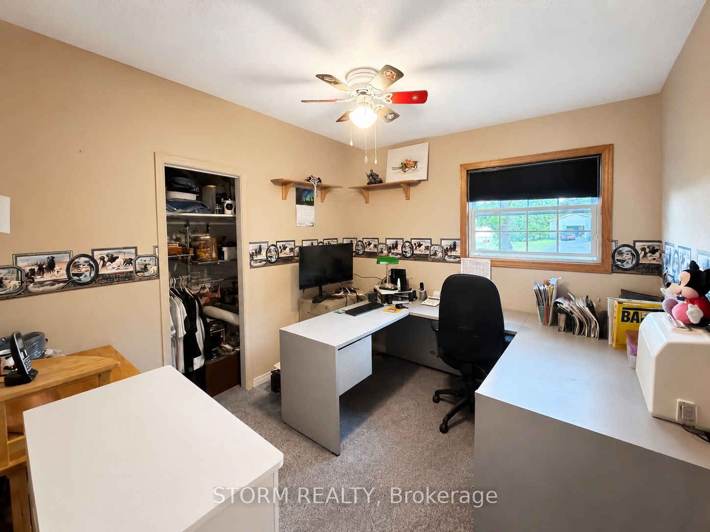 Main Property