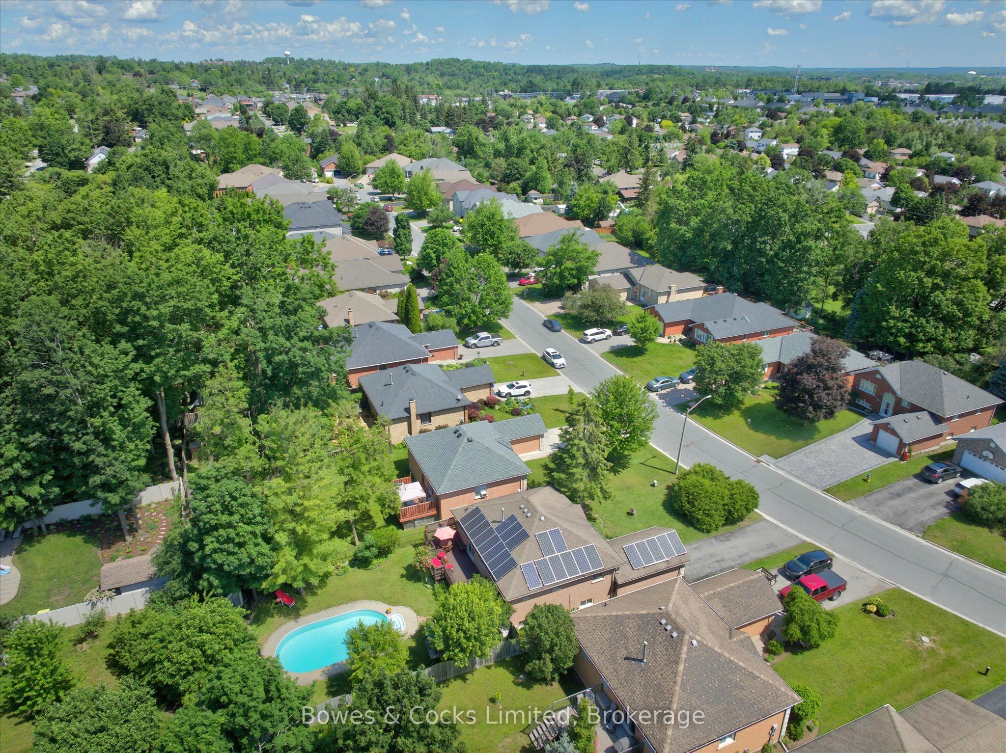 Main Property