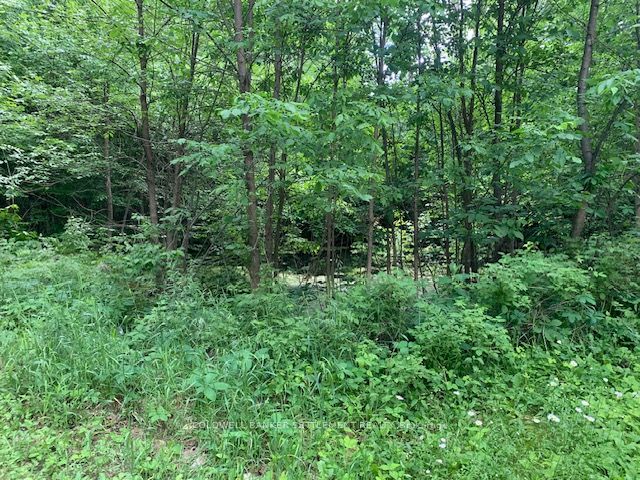 Listing 127509 Image