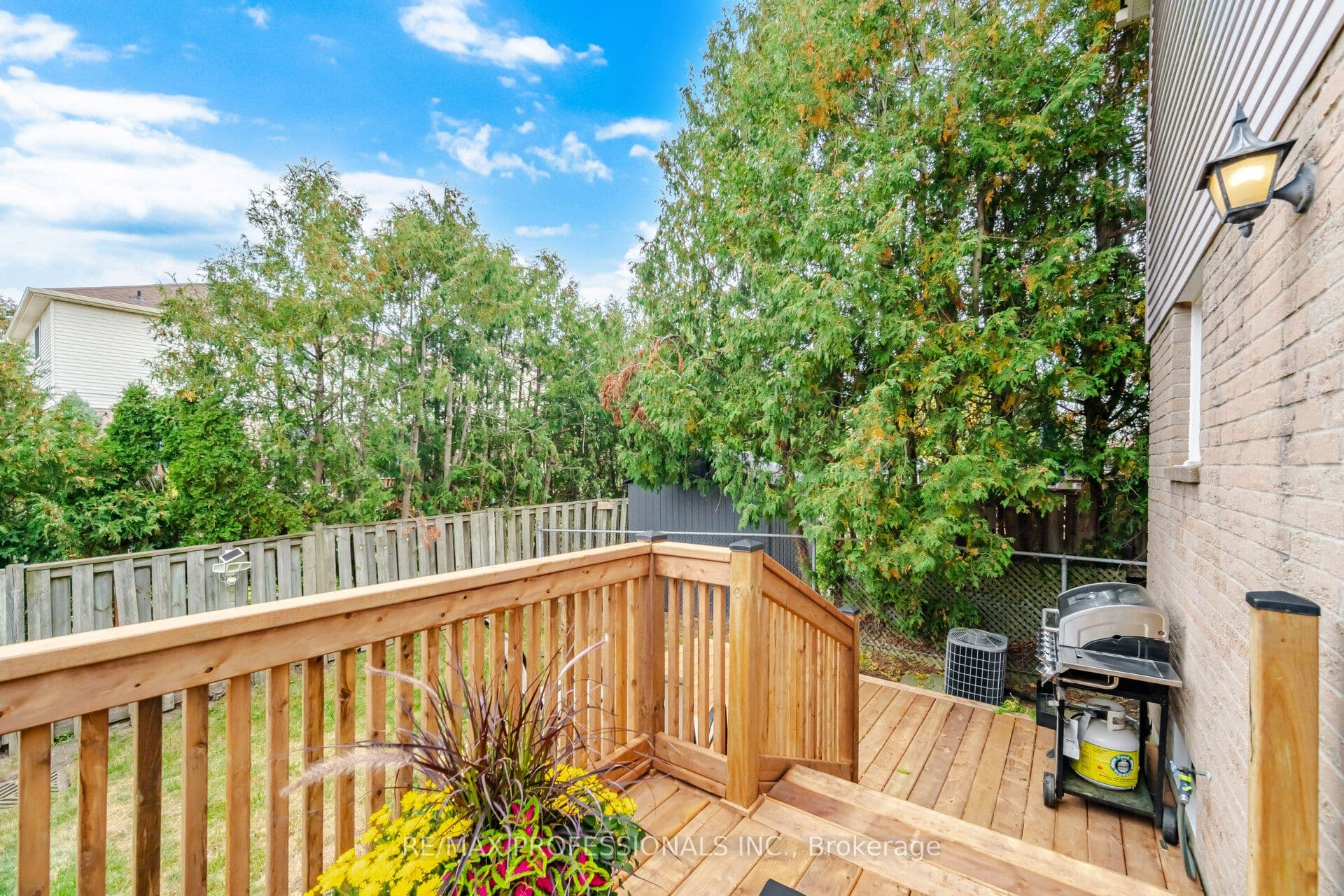 Listing 339897 Image