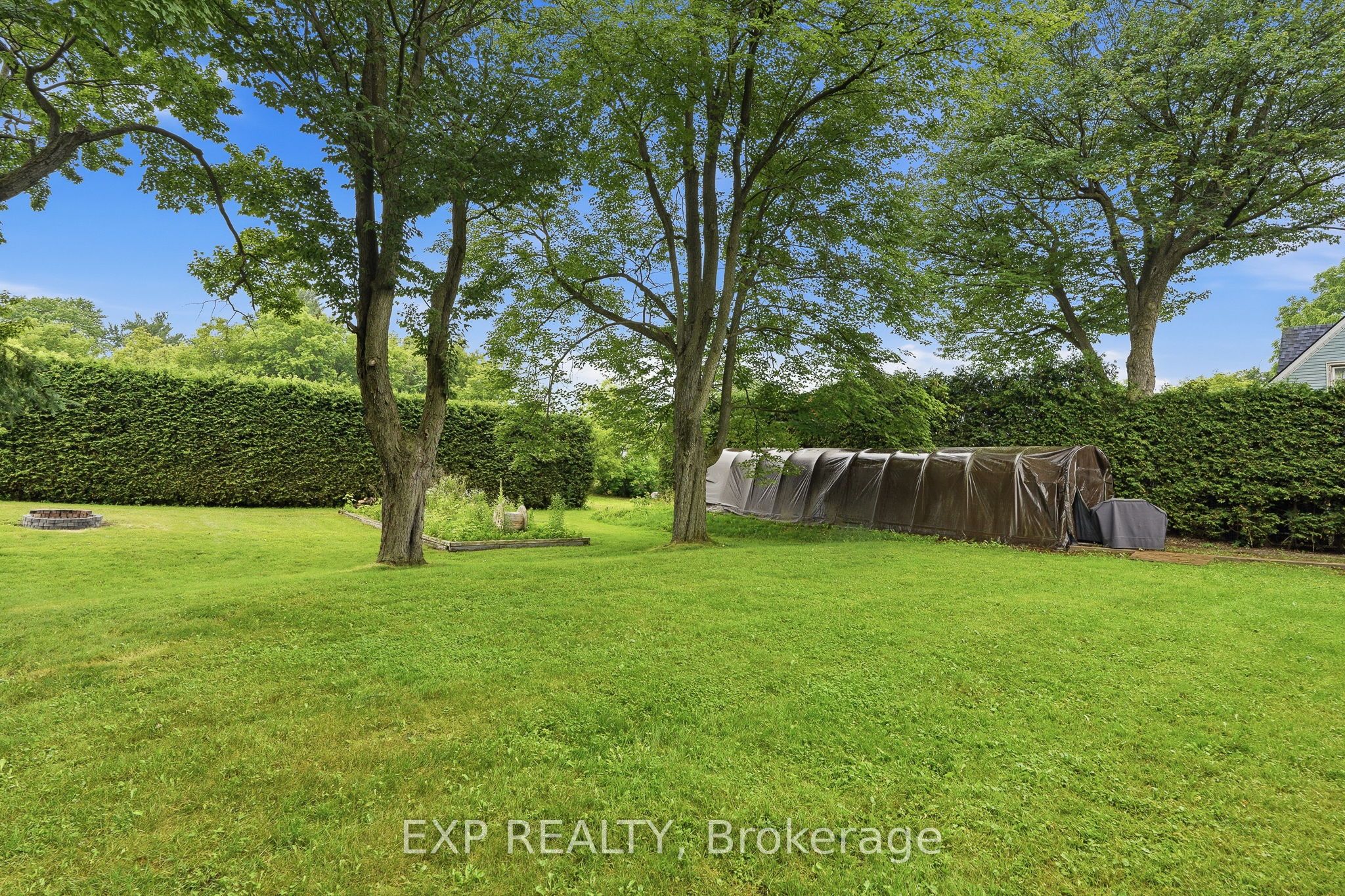 Listing 156696 Image