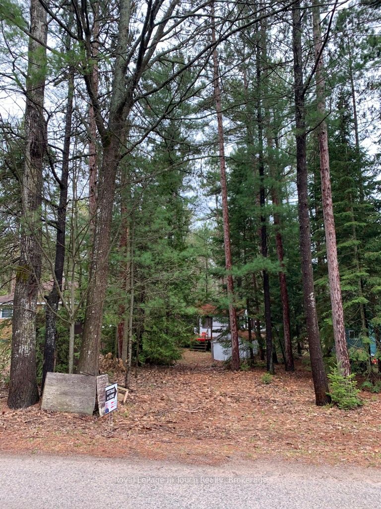 Listing 125643 Image