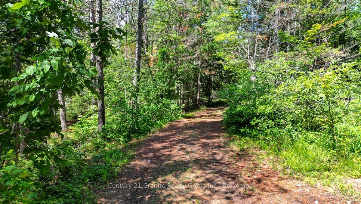 Listing 130237 Image