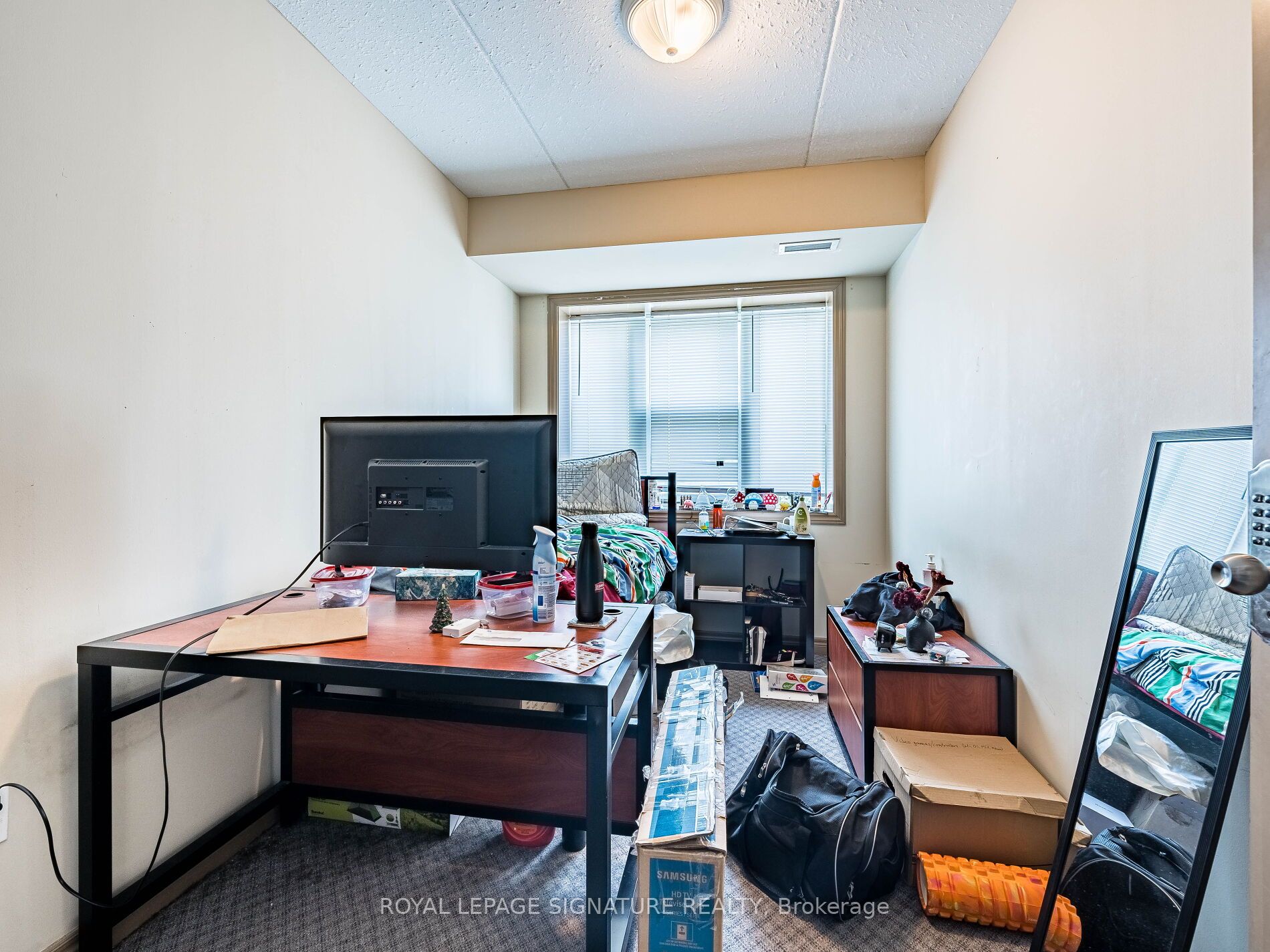 Main Property