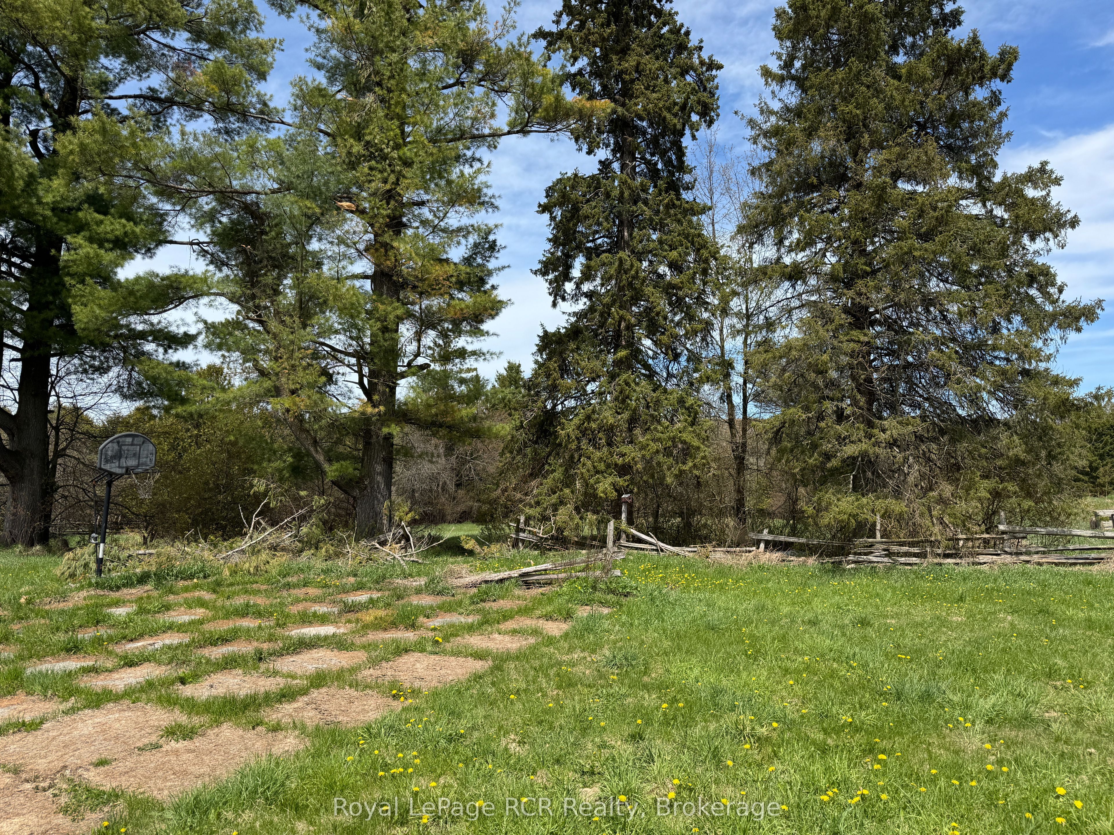 Listing 128216 Image