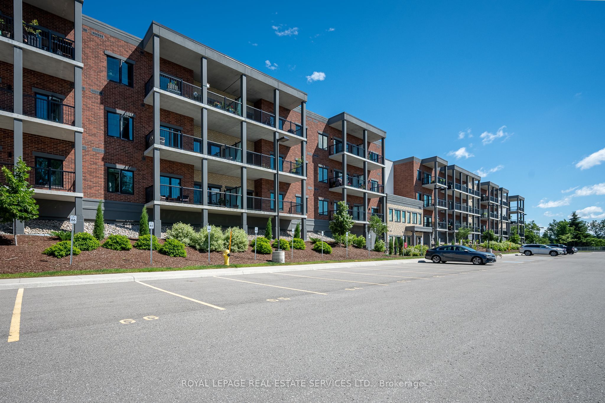 Main Property