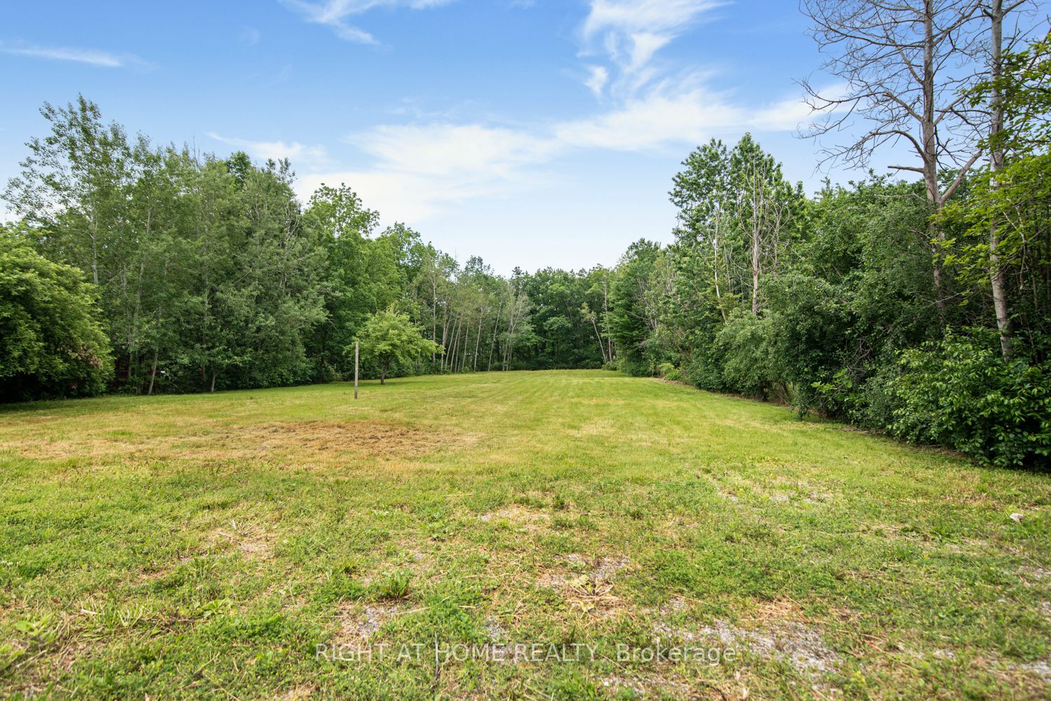 Listing 230538 Image