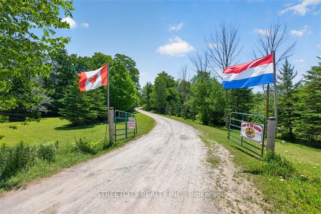 Listing 131276 Image