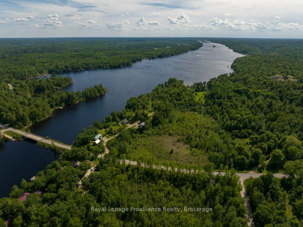 Listing 131736 Image