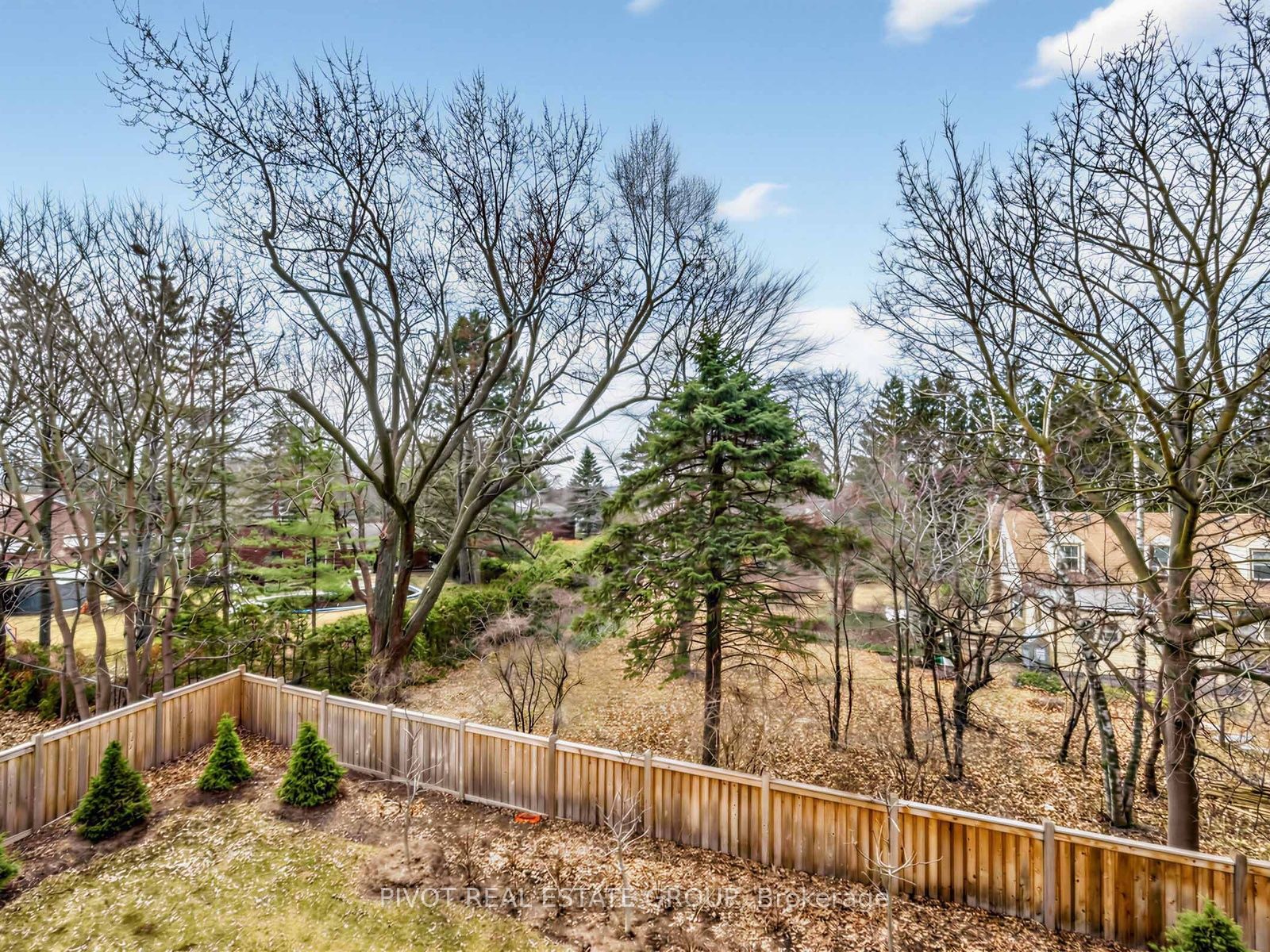 Listing 132239 Image