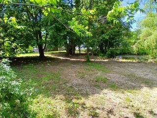 Listing 135335 Image