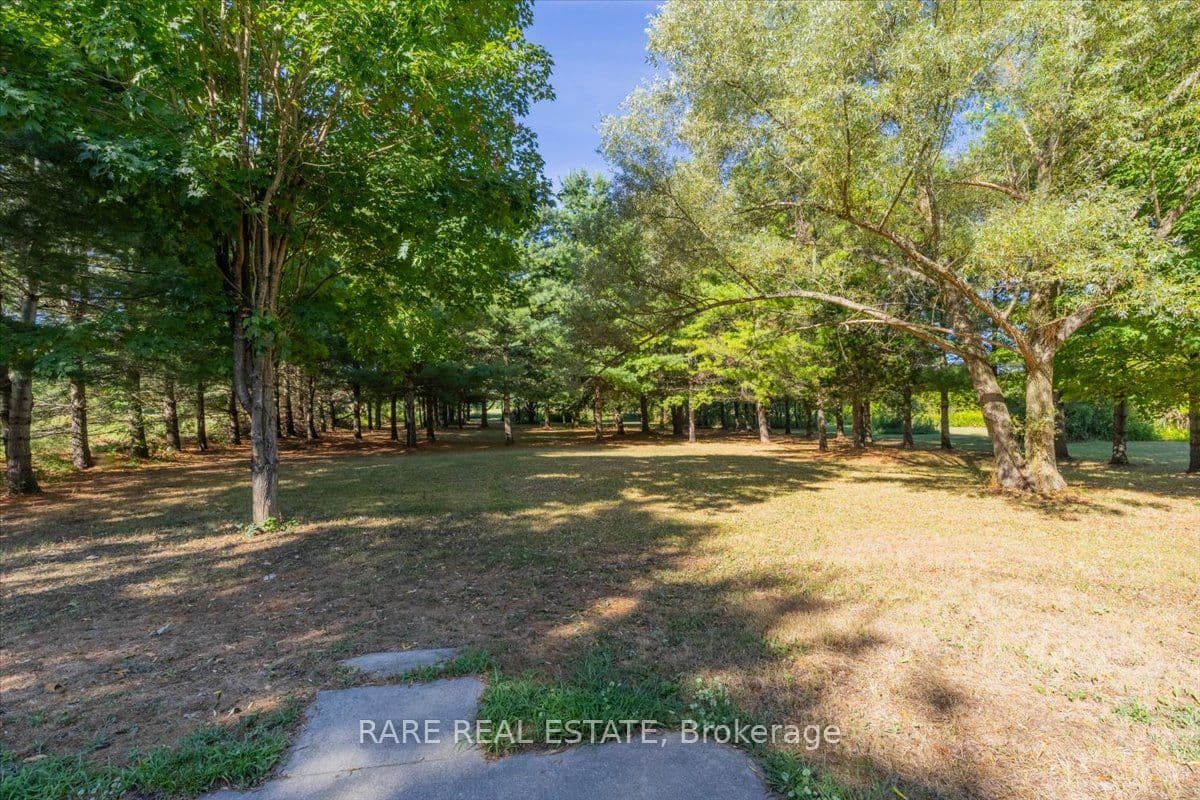 Listing 133538 Image