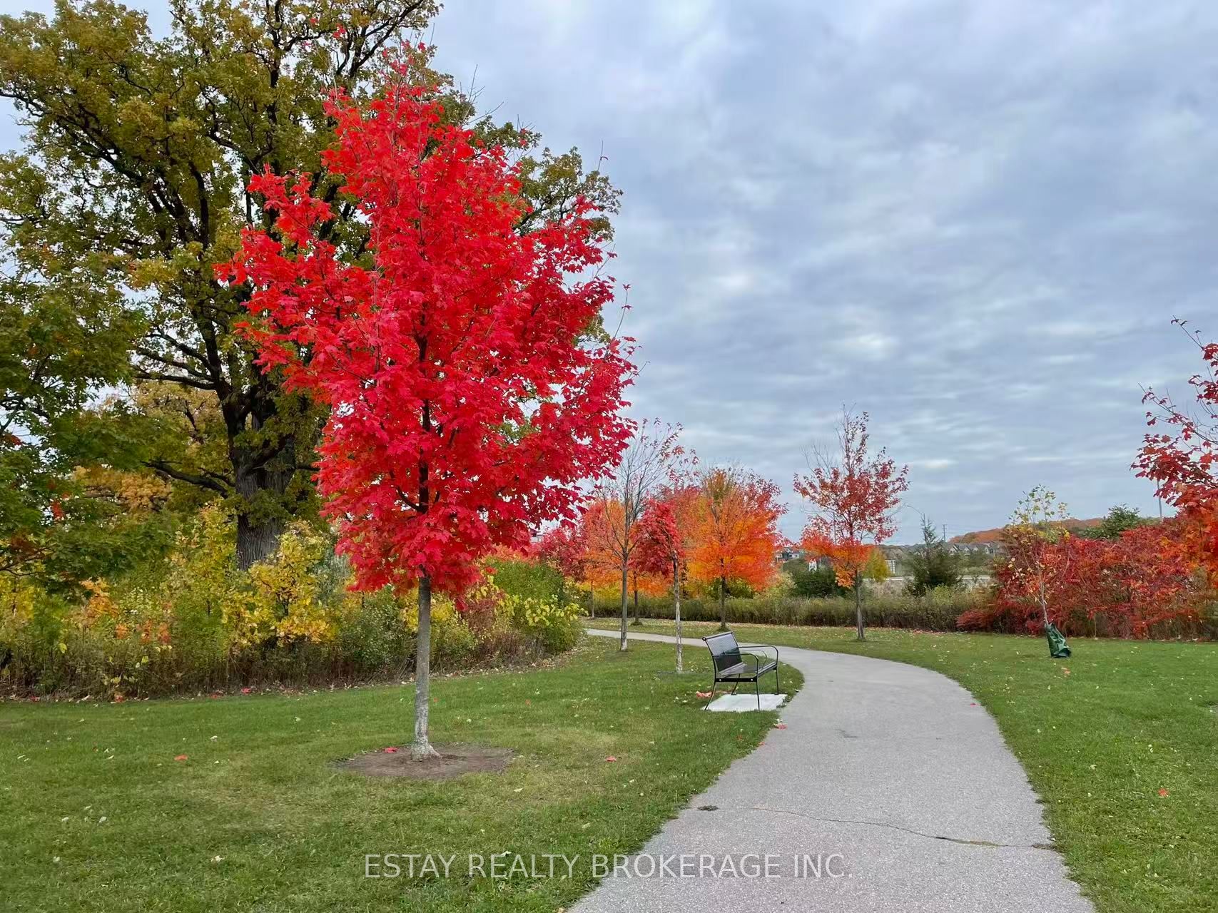 Listing 132747 Image