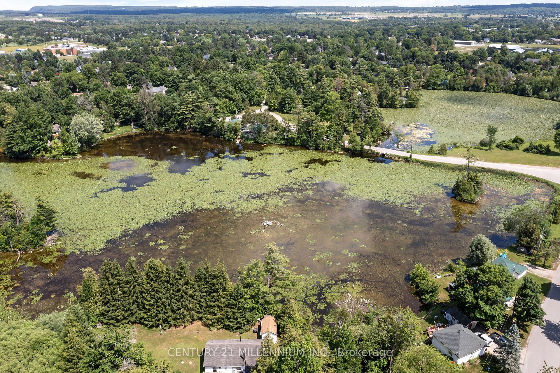 Listing 180136 Image