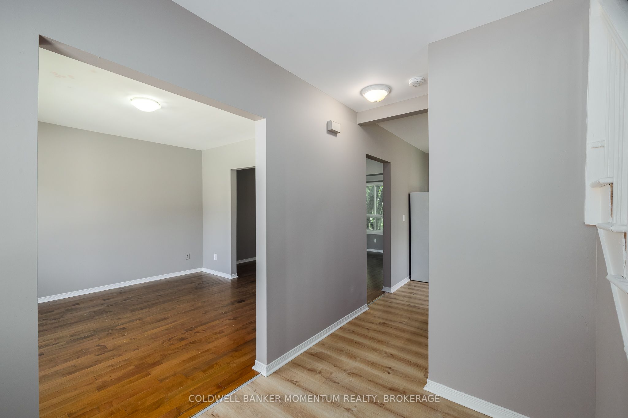 Listing 222882 Image