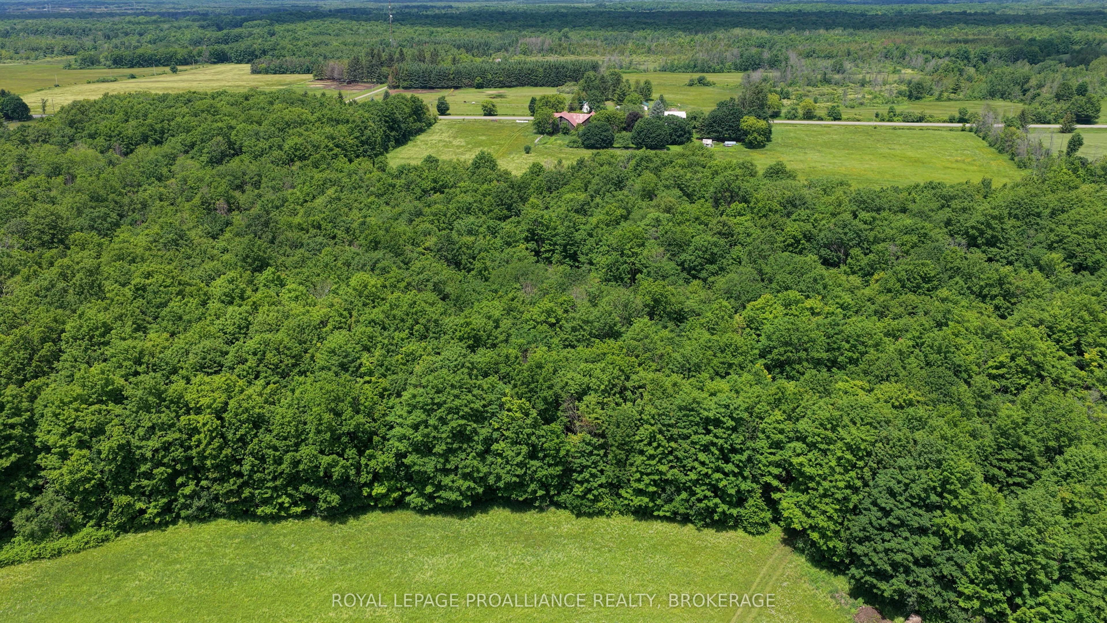 Listing 137547 Image