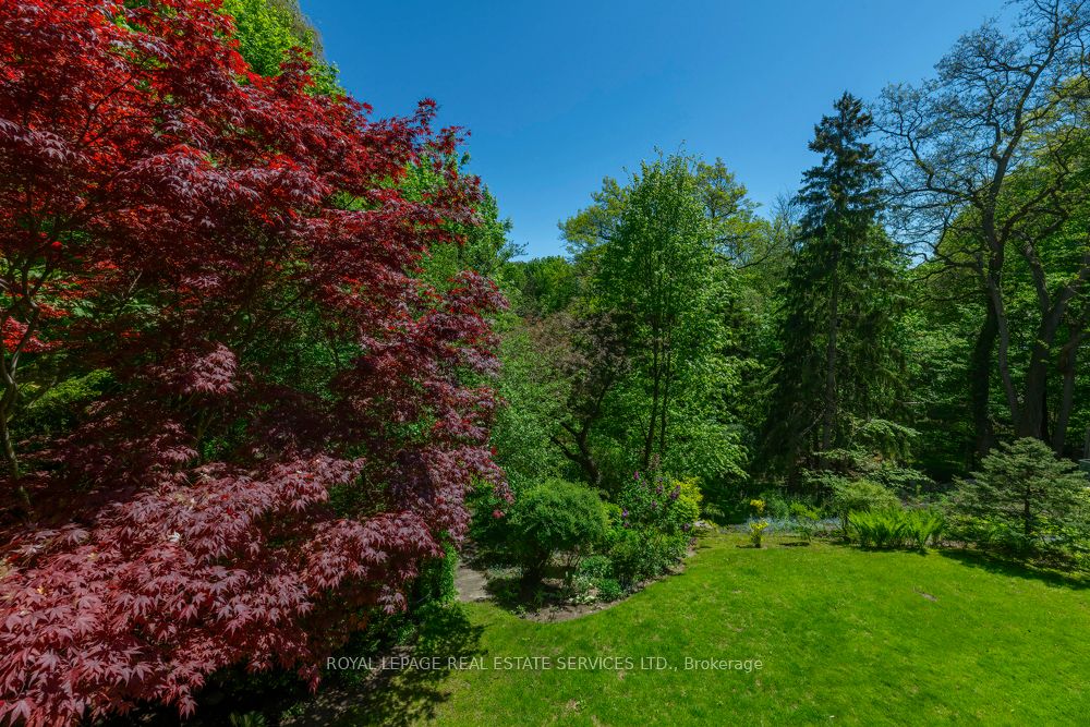 Listing 180586 Image