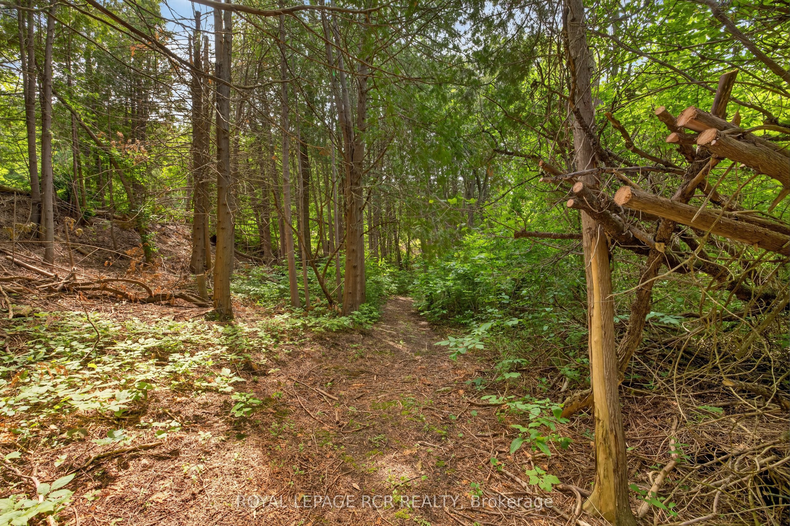 Listing 144770 Image