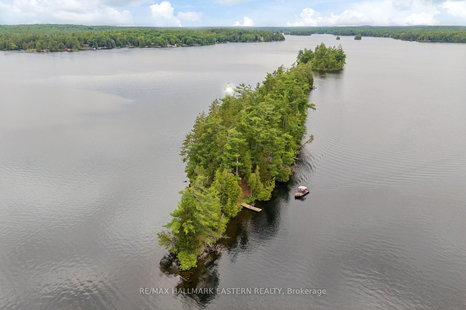 Listing 137976 Image
