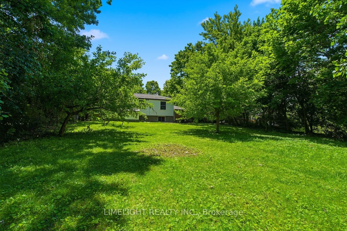 Listing 145727 Image